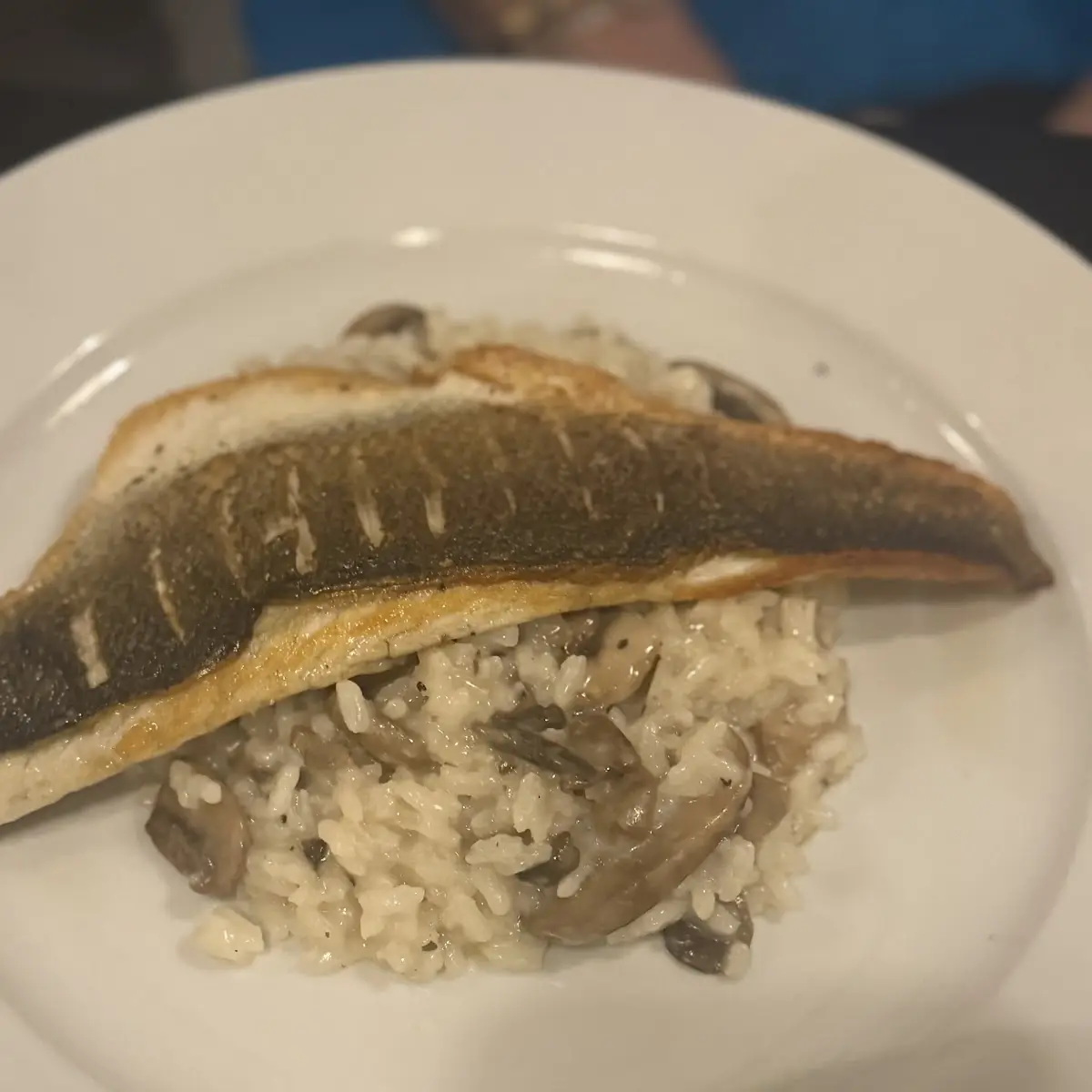 Sea Bass