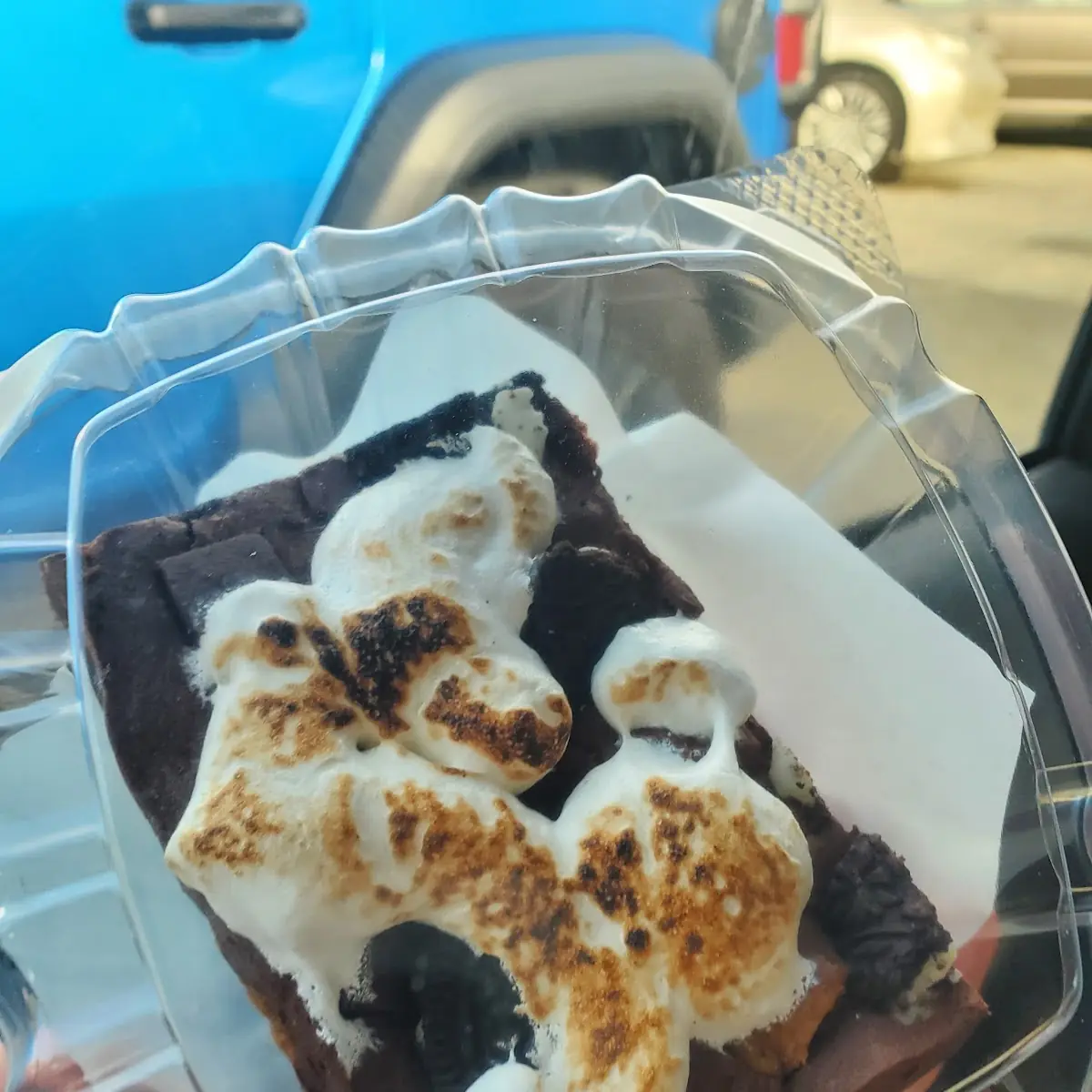 Turtle Brownie