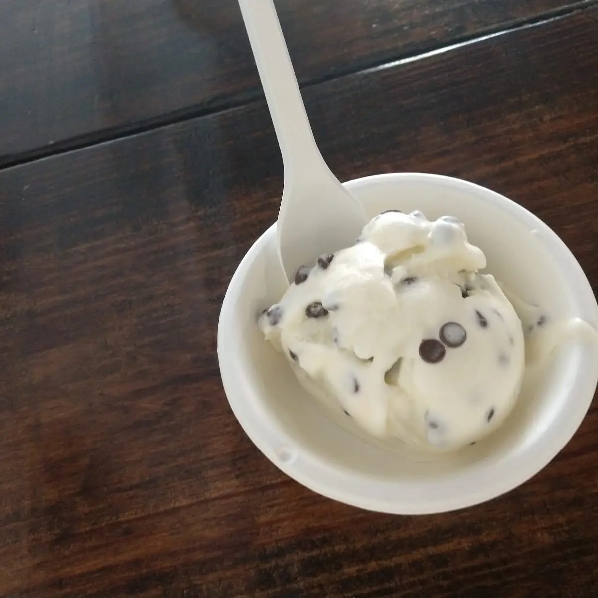 Mint Chocolate Chip Ice Cream