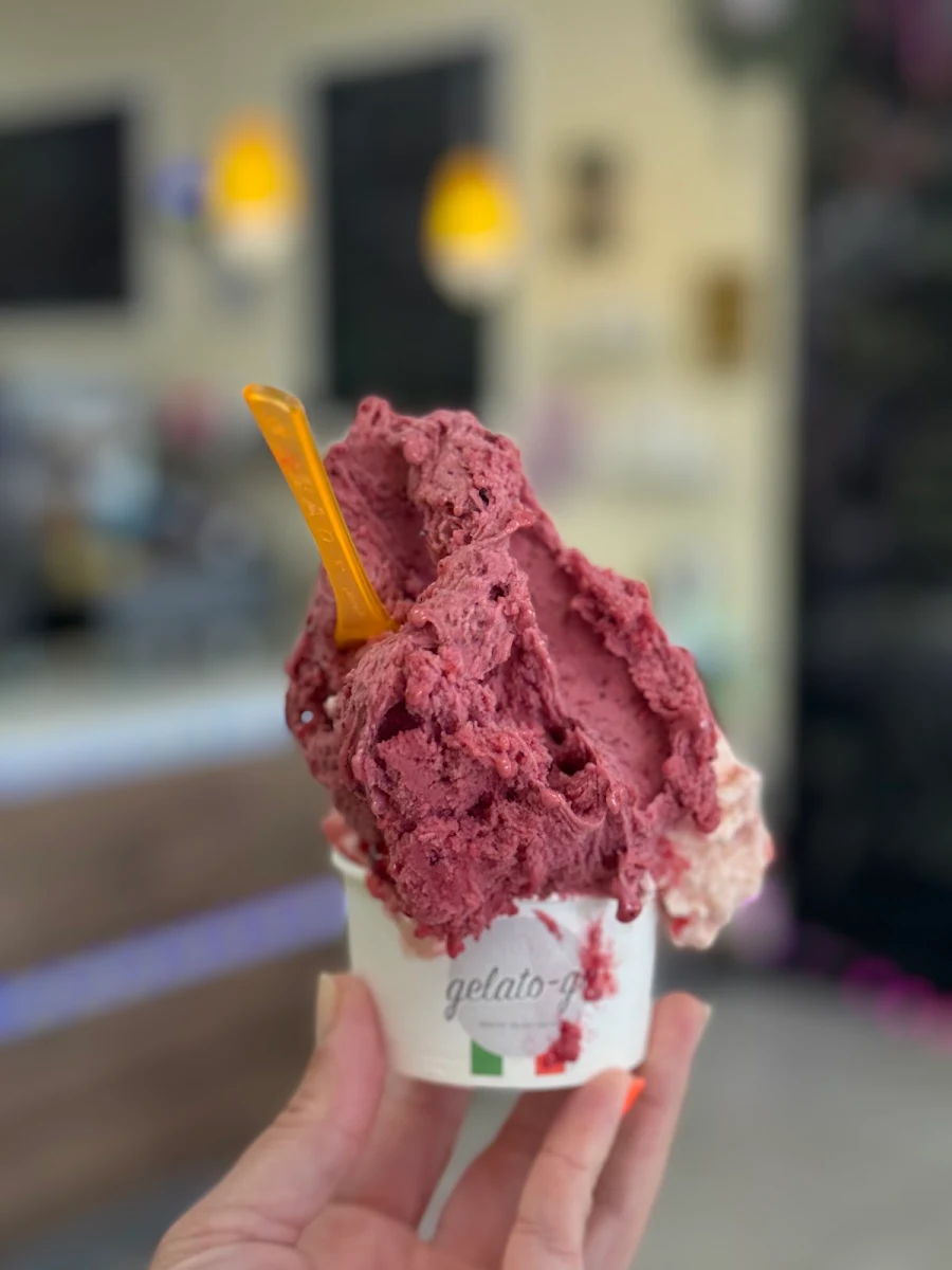 Slice of Cake with Gelato