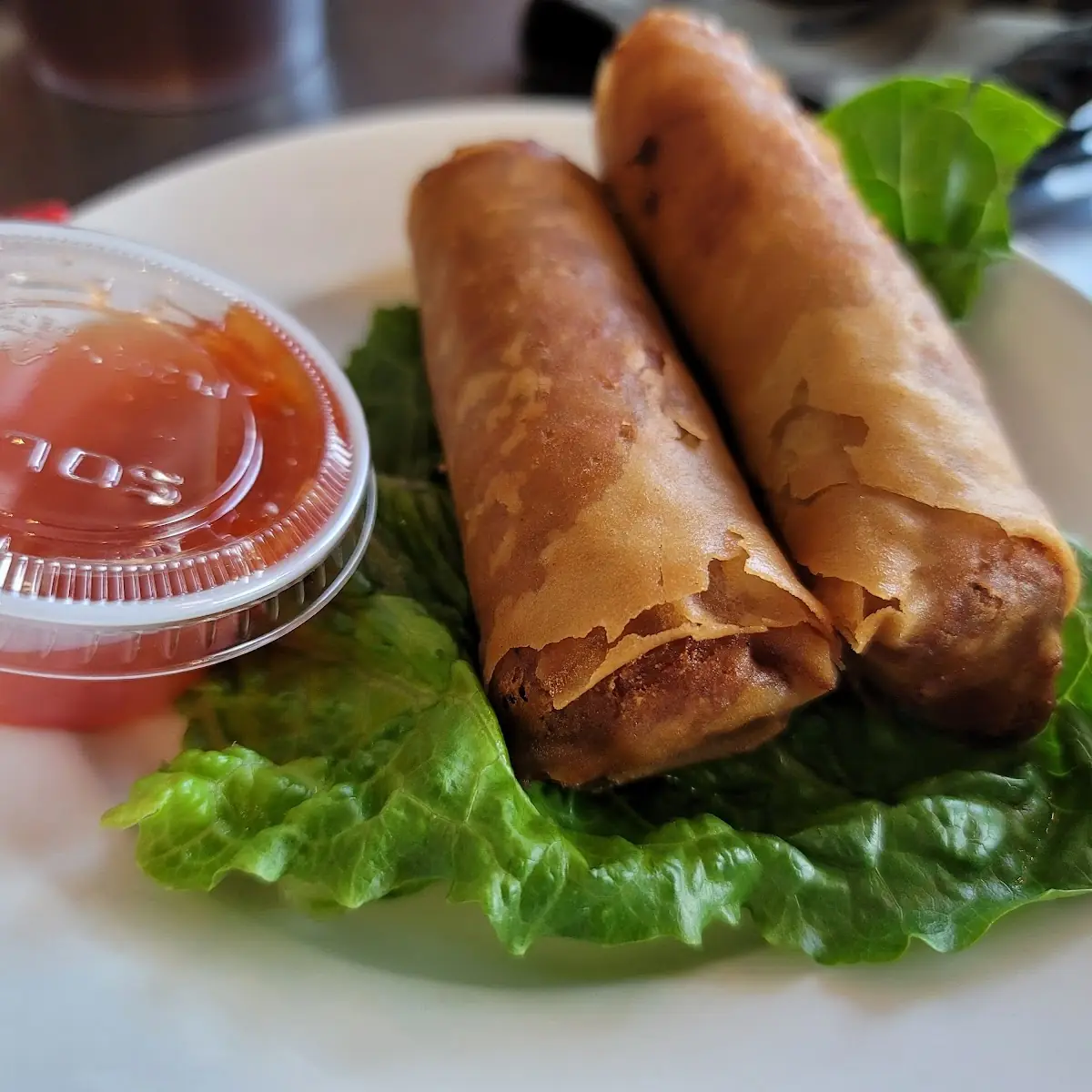 Vegetarian Spring Rolls