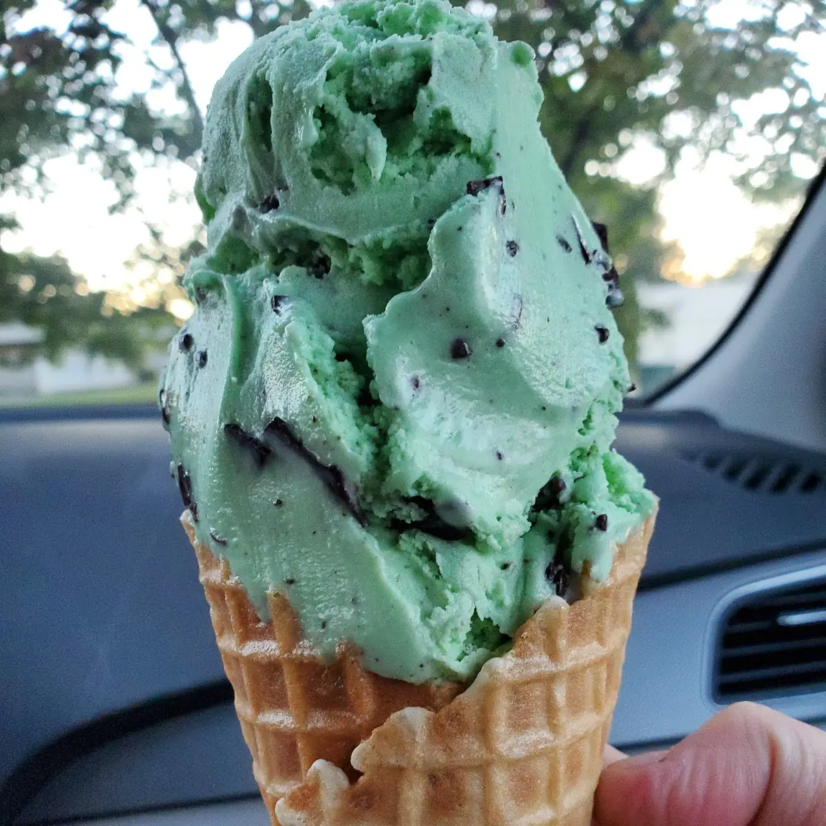 Mint Chocolate Chip