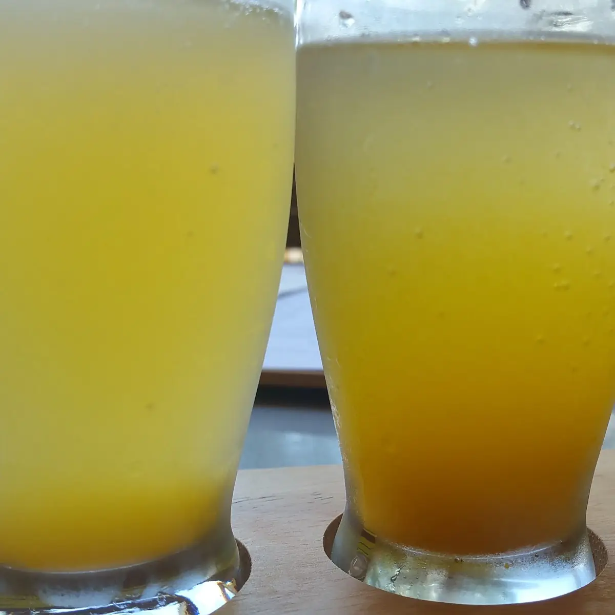 Mimosa Flight