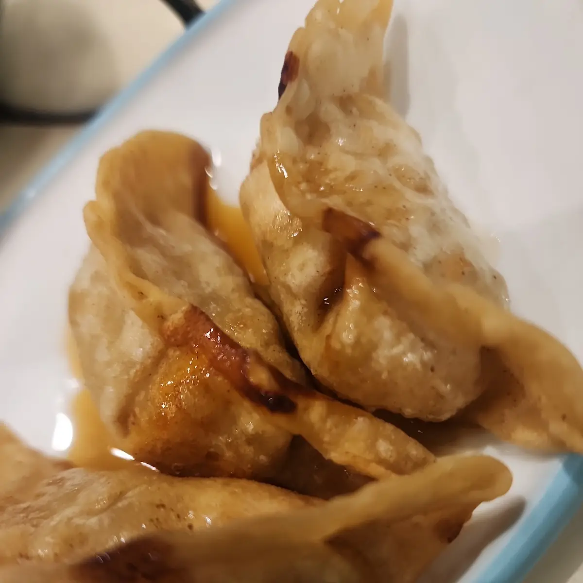 Gyoza
