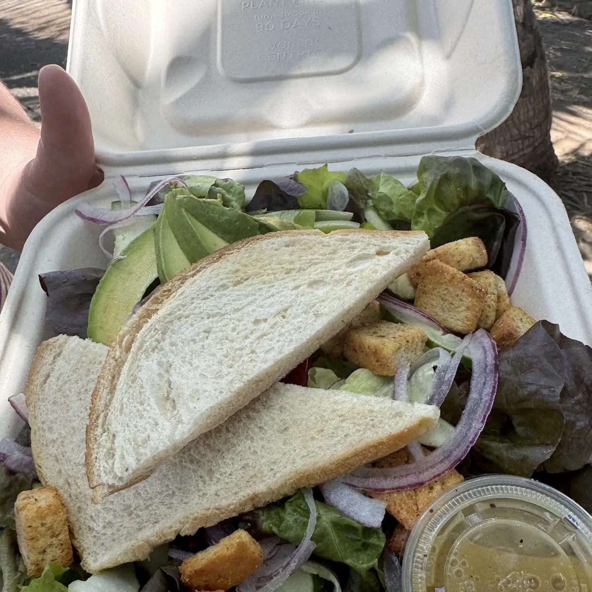 Salad