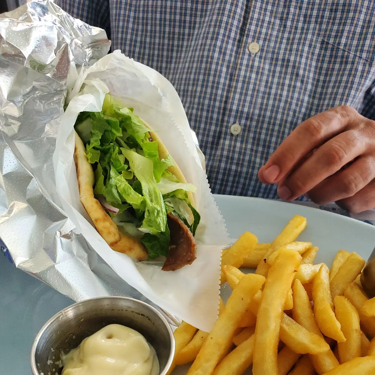Gyro Sandwich & Fries
