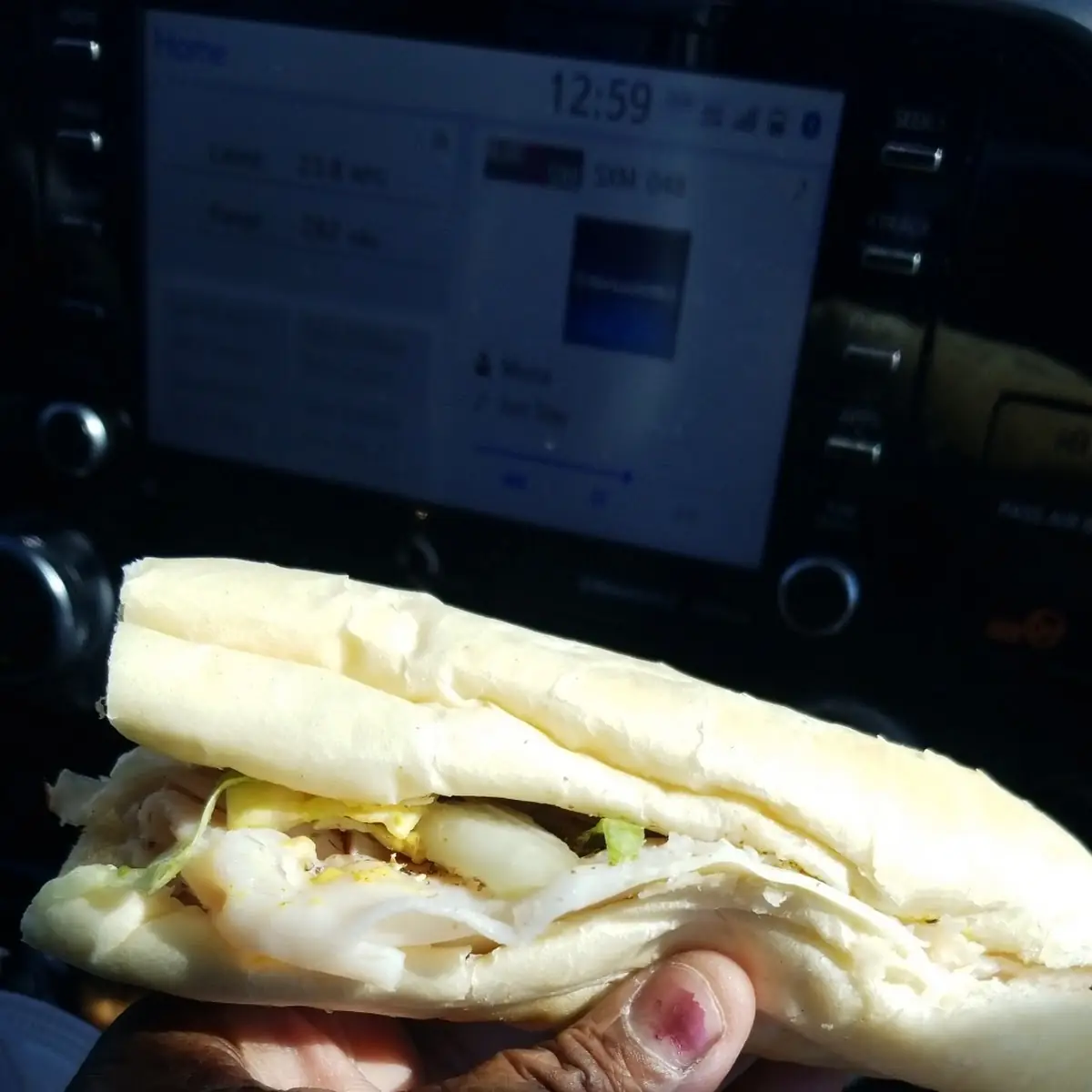 Mile High Turkey Sub