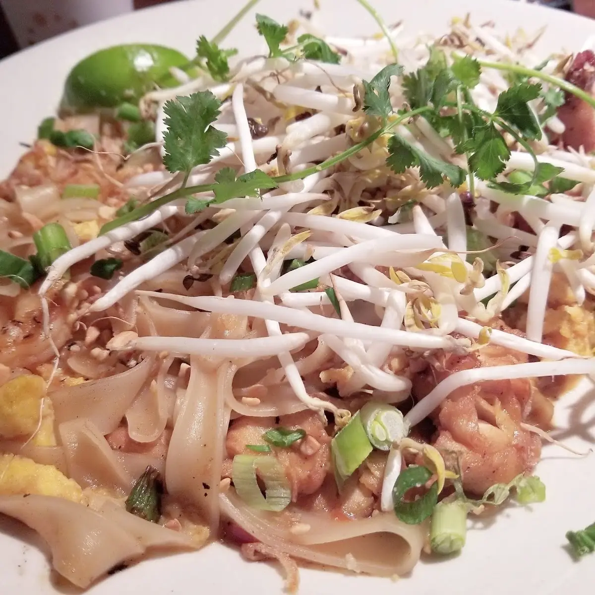 Pad Thai Chicken and Shrimp