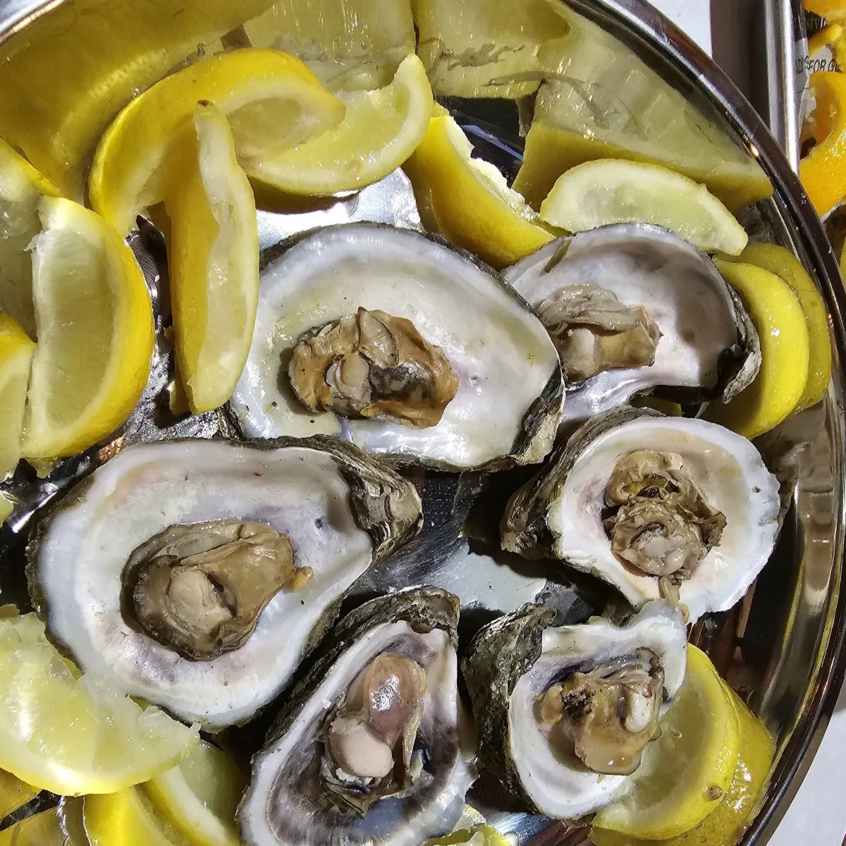 Oysters on the Half Shell
