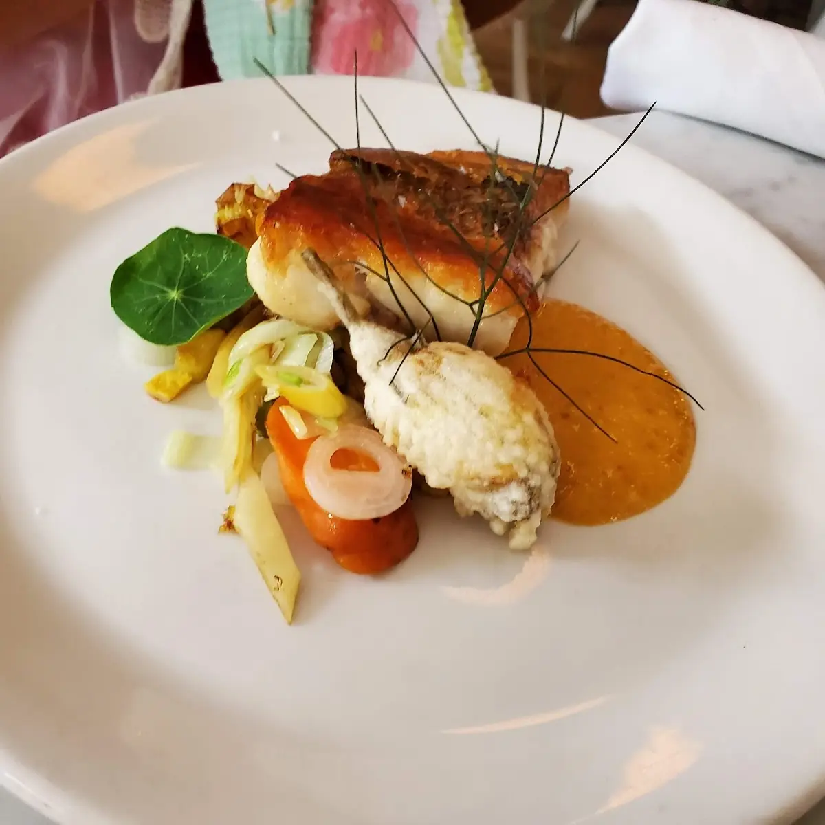 Red Snapper