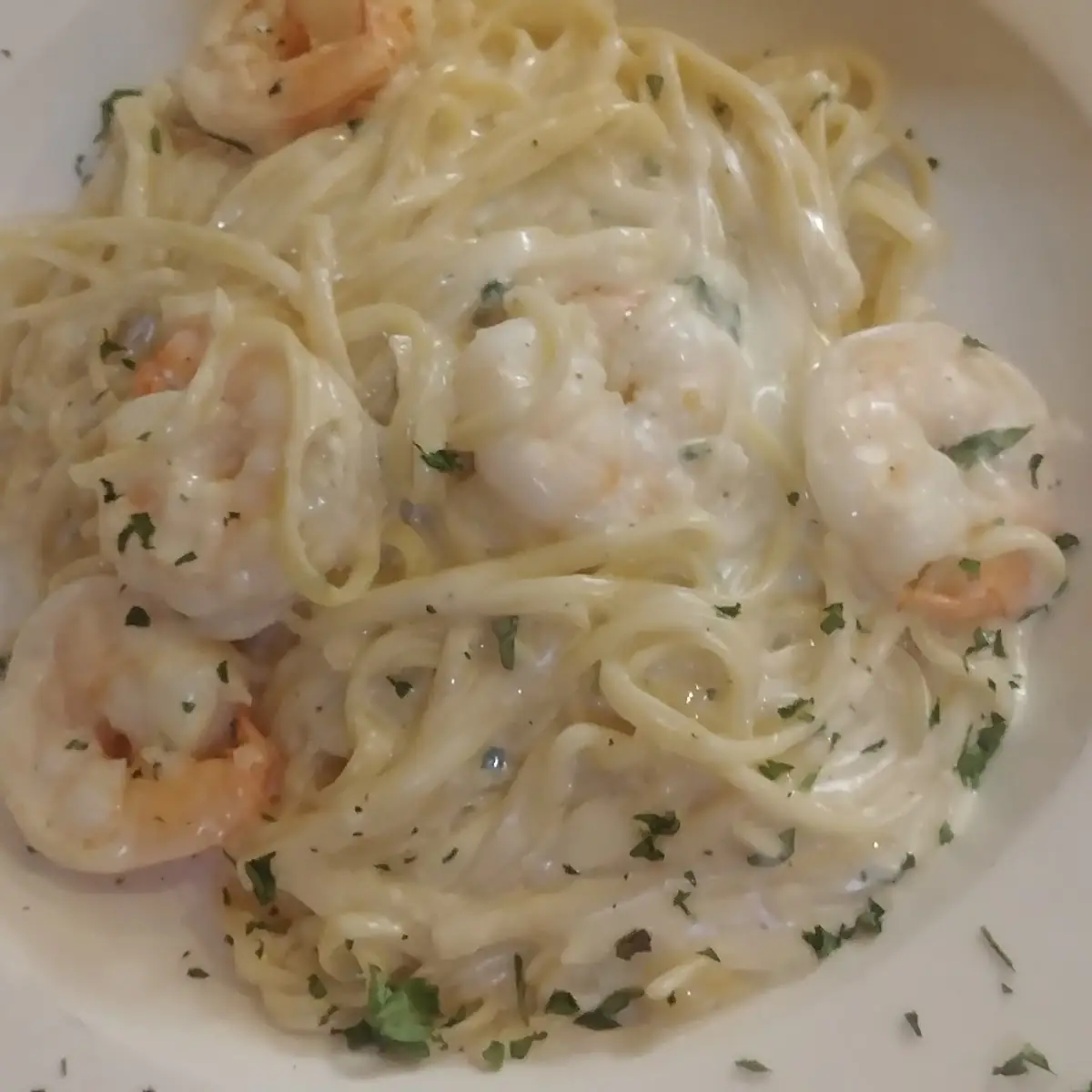 Shrimp Alfredo
