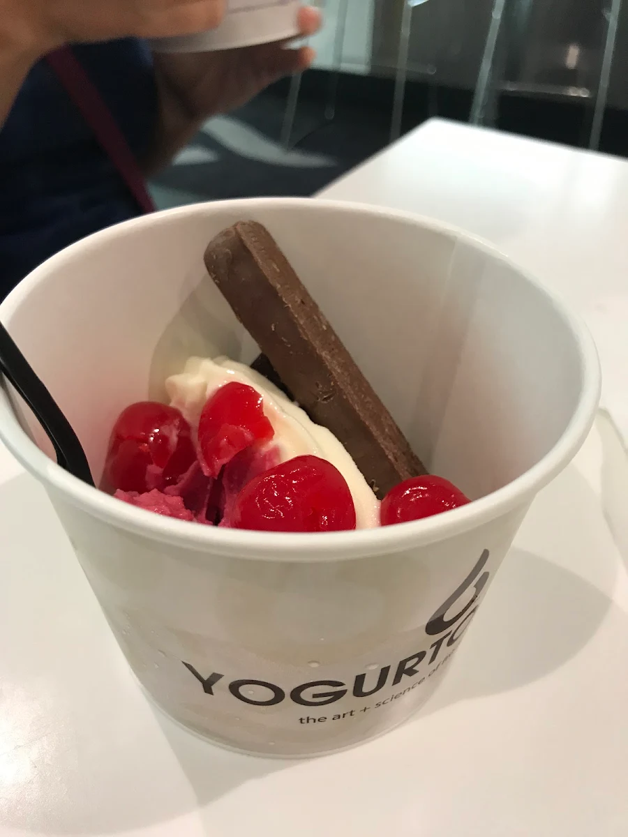 Frozen Yogurt