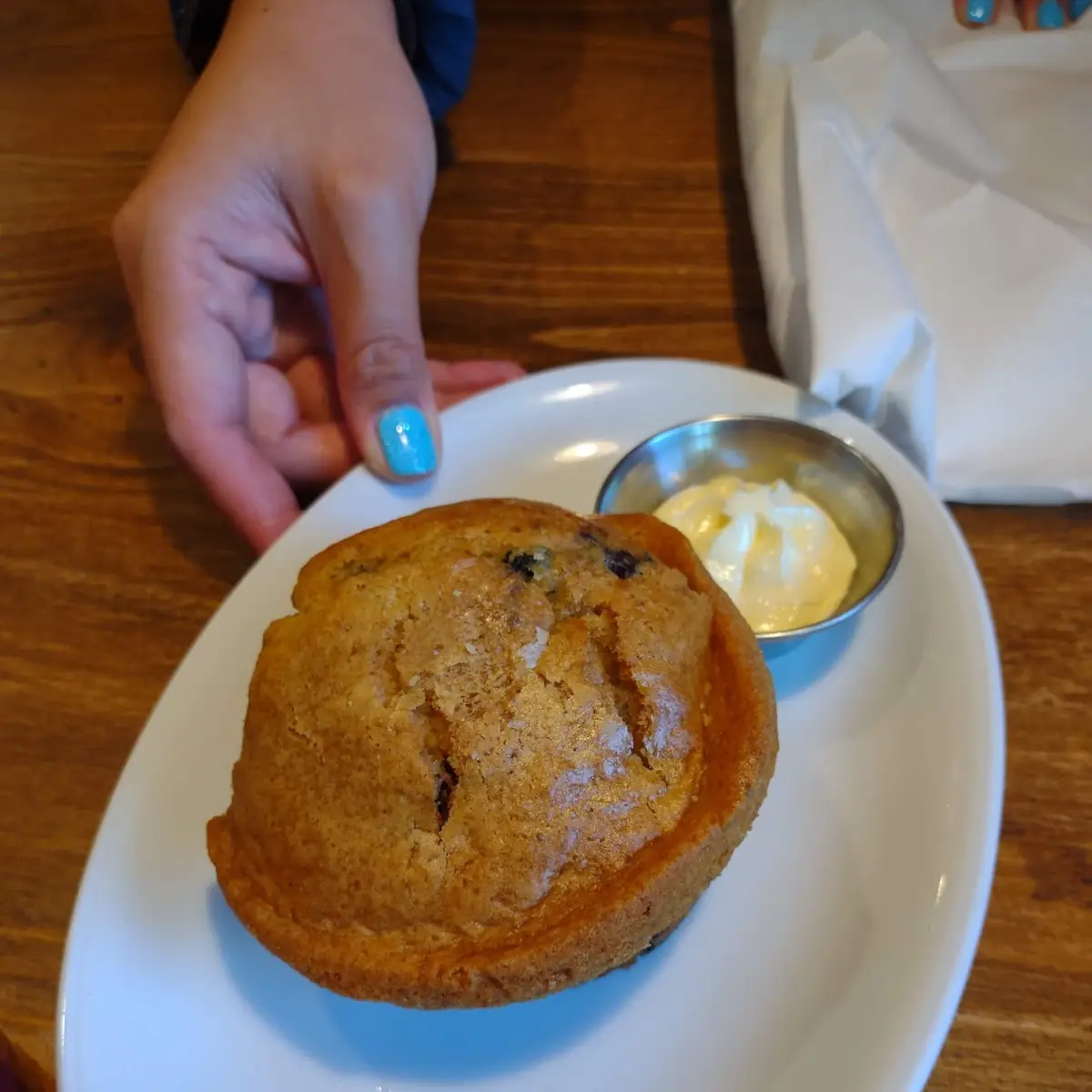 Blueberry Muffin