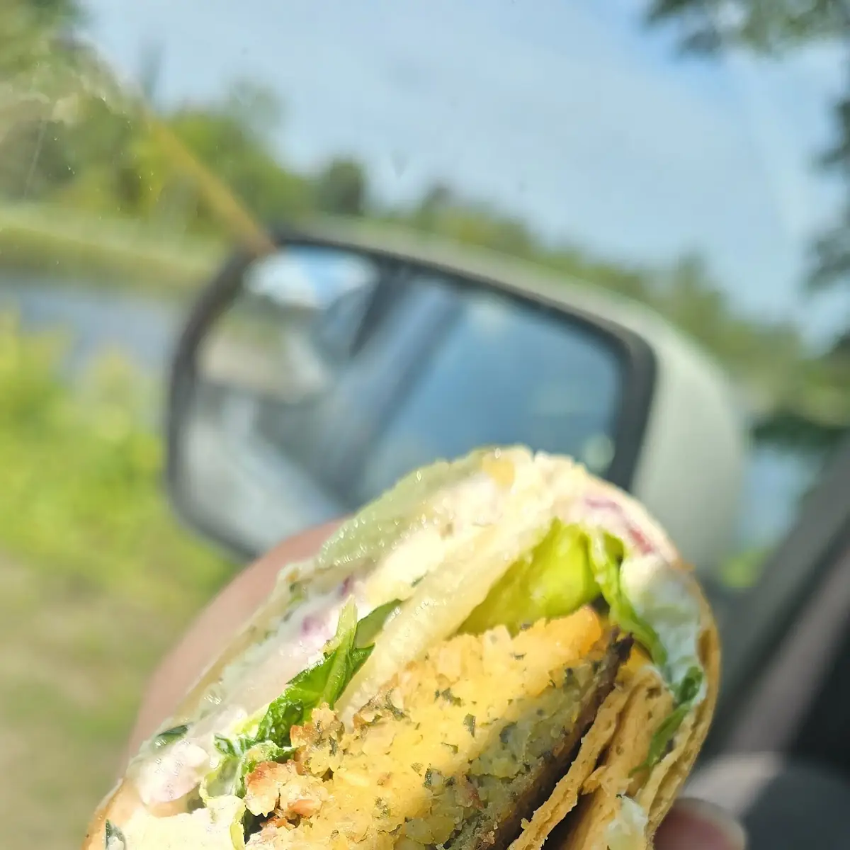 Falafel Wrap