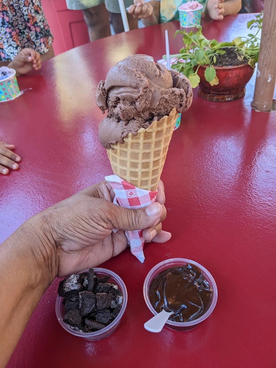 Double Chocolate Ice Cream