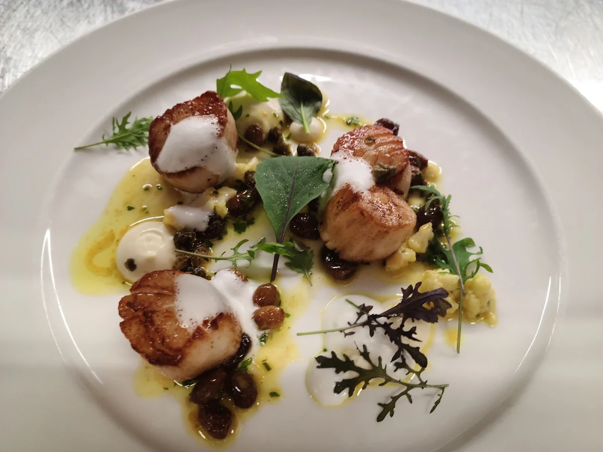 Scallops Smoked Duck Wild Salmon Lamb Cocolate Mouse