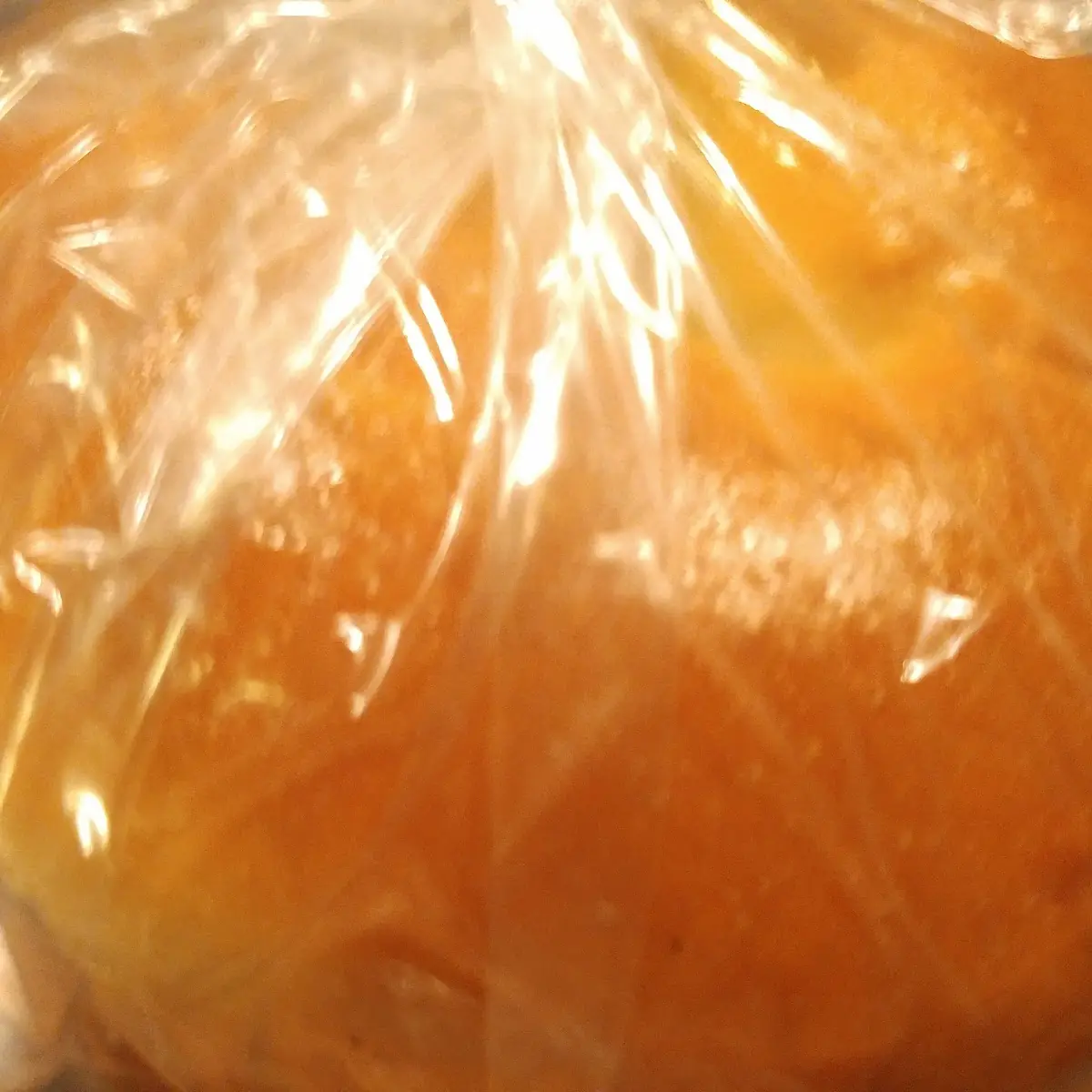 Plain Bagel