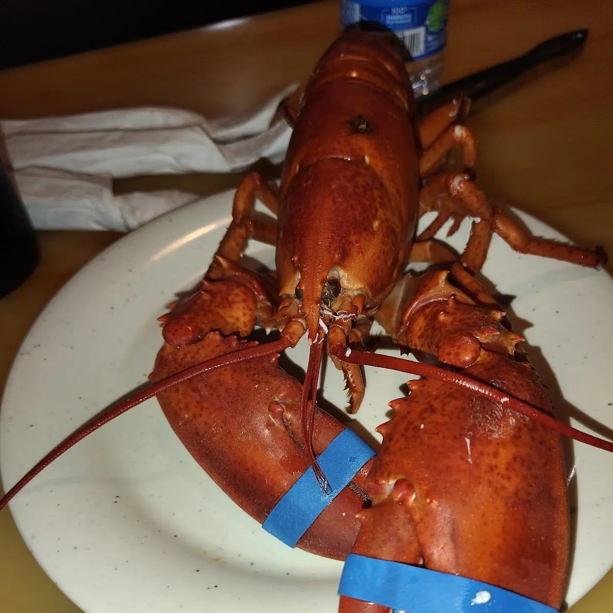 Lobster