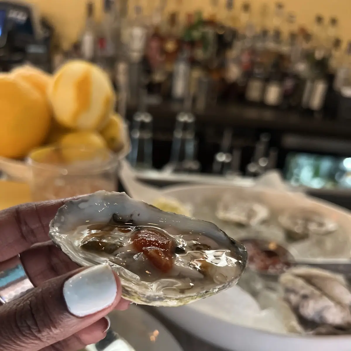 ½ Dozen Oysters