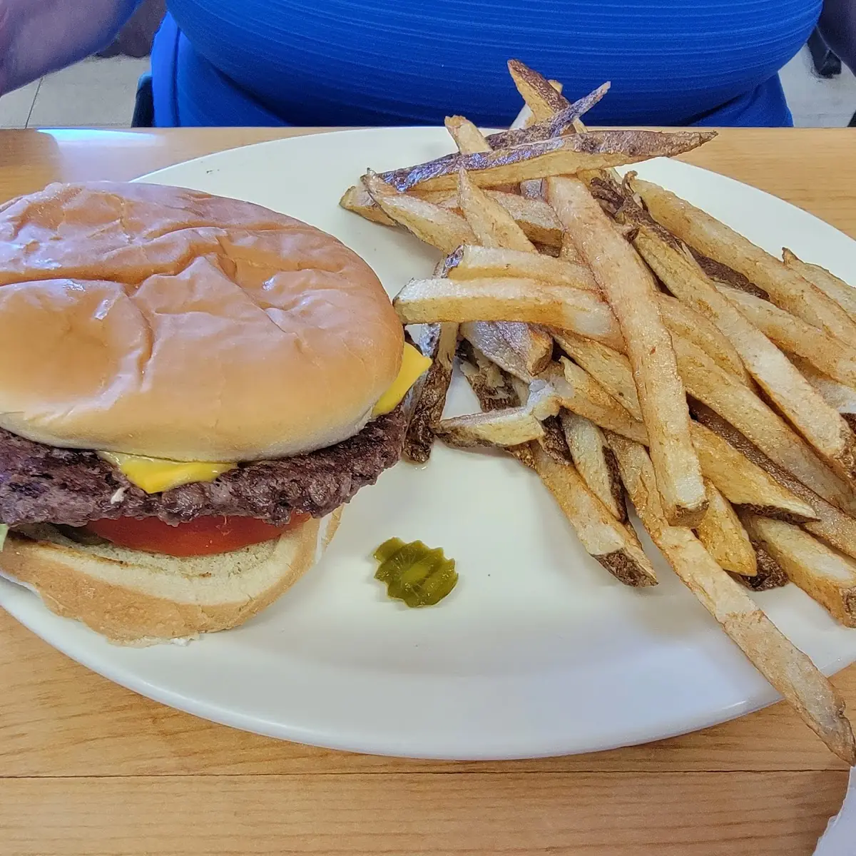 Bison Burger