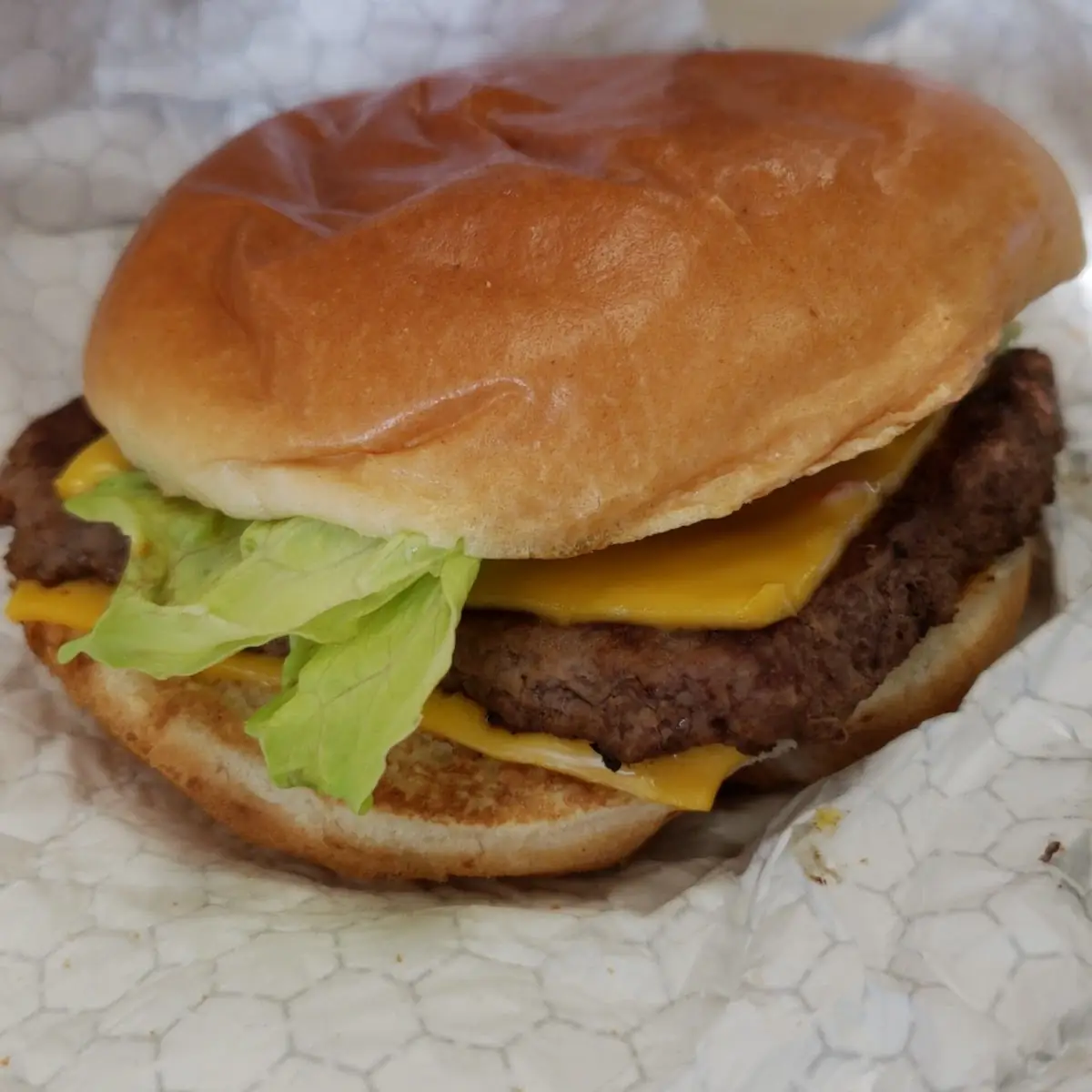 Double Cheese Burger Since It Has Two Slices of Cheese