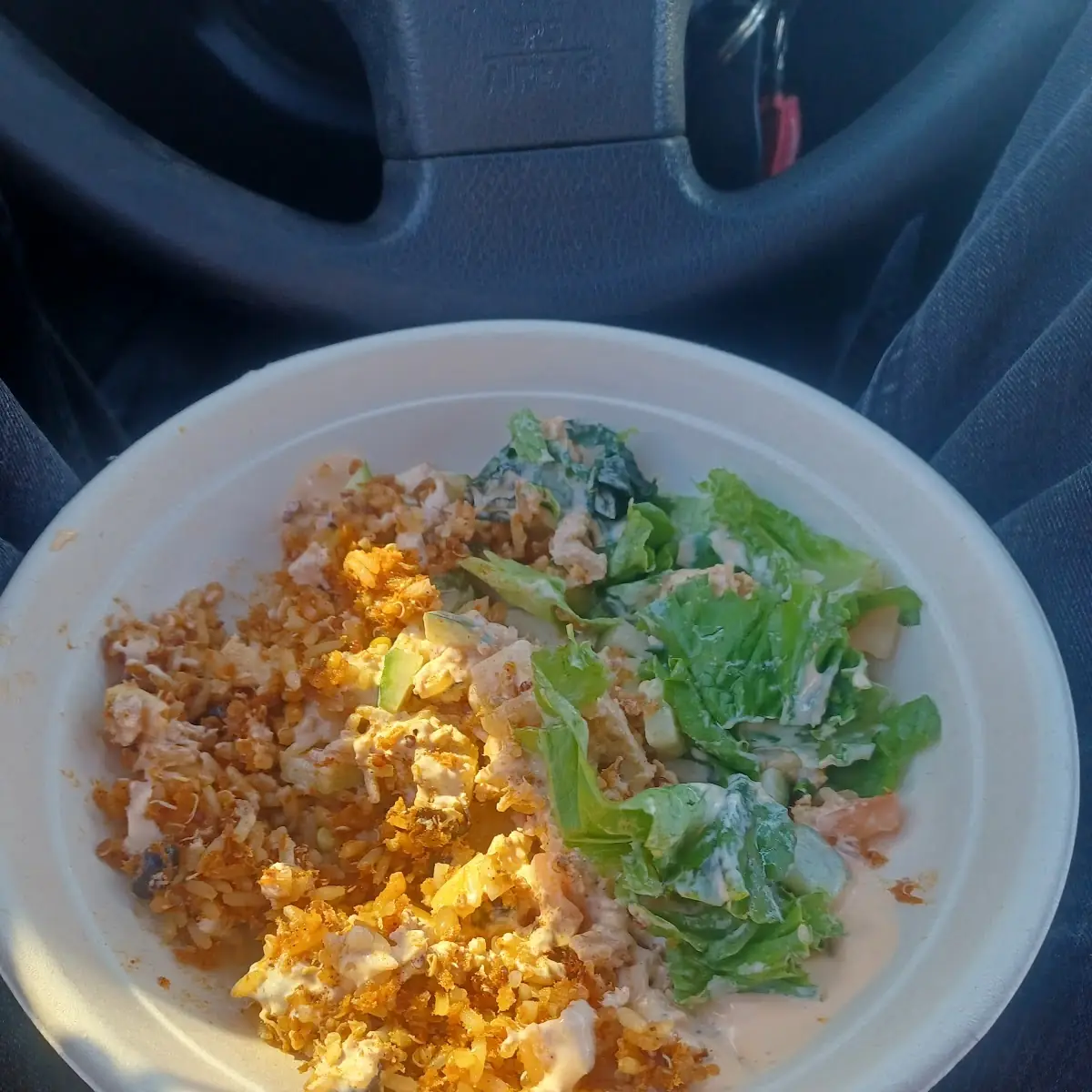 Cilantro Lime Rice Chicken Bowl, Tim Hortons