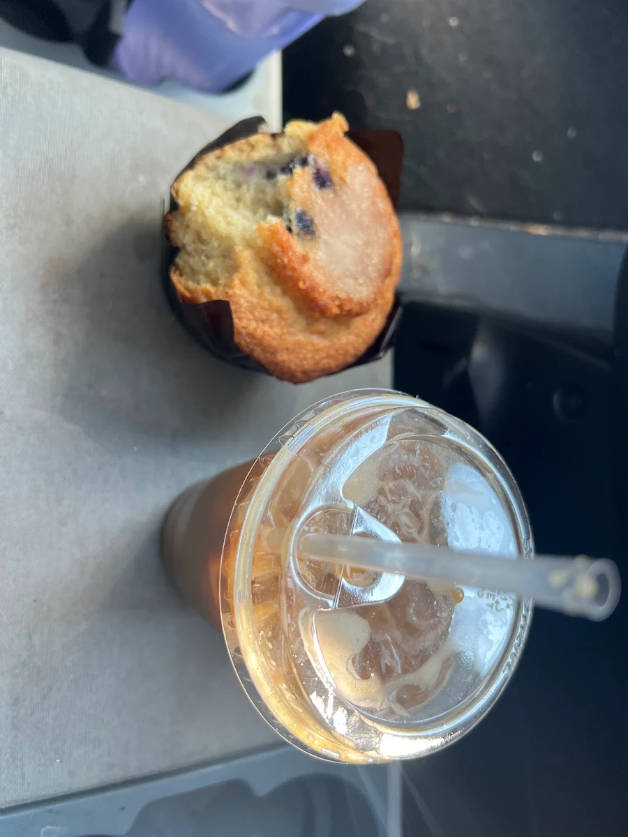 Blueberry Muffin