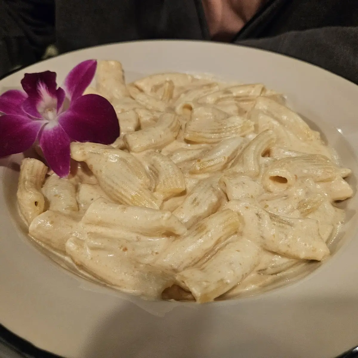 Ziti Alfredo