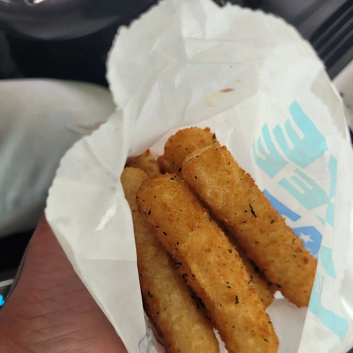Mozzarella Cheese Sticks
