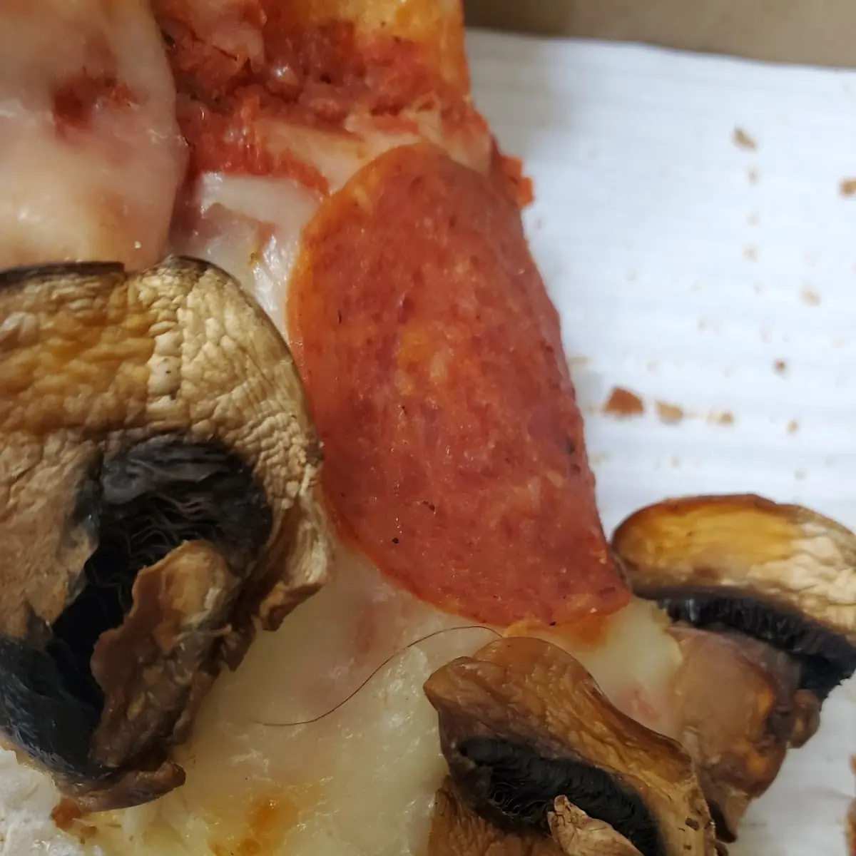 Hair in My Pizza
