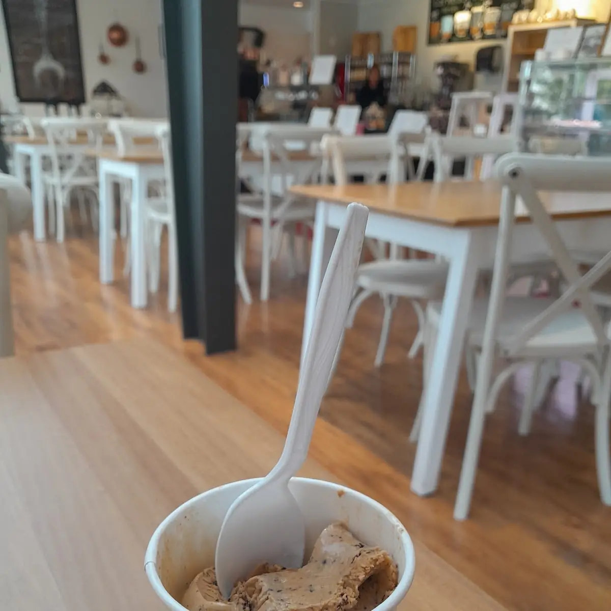 Mocha Chocolate Chip Galato