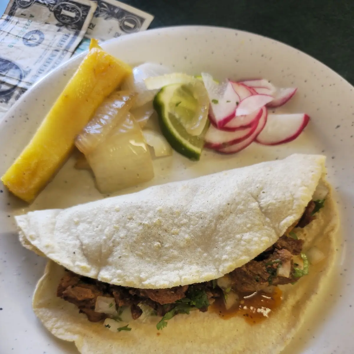Al Pastor Taco