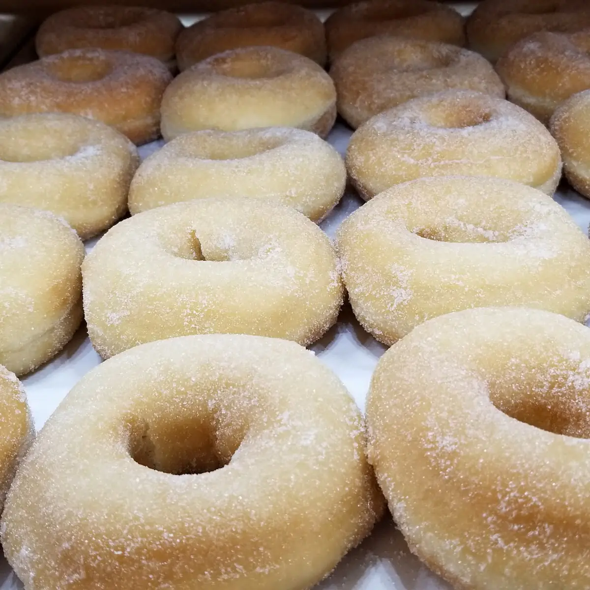 Sugar Donut