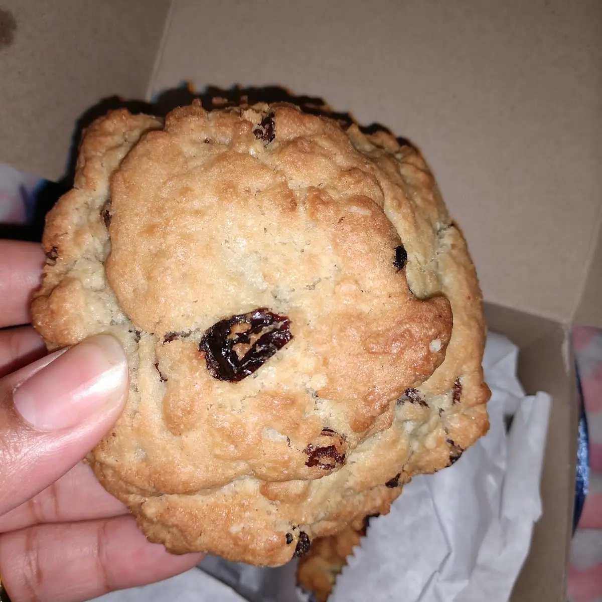 Oatmeal Cookie