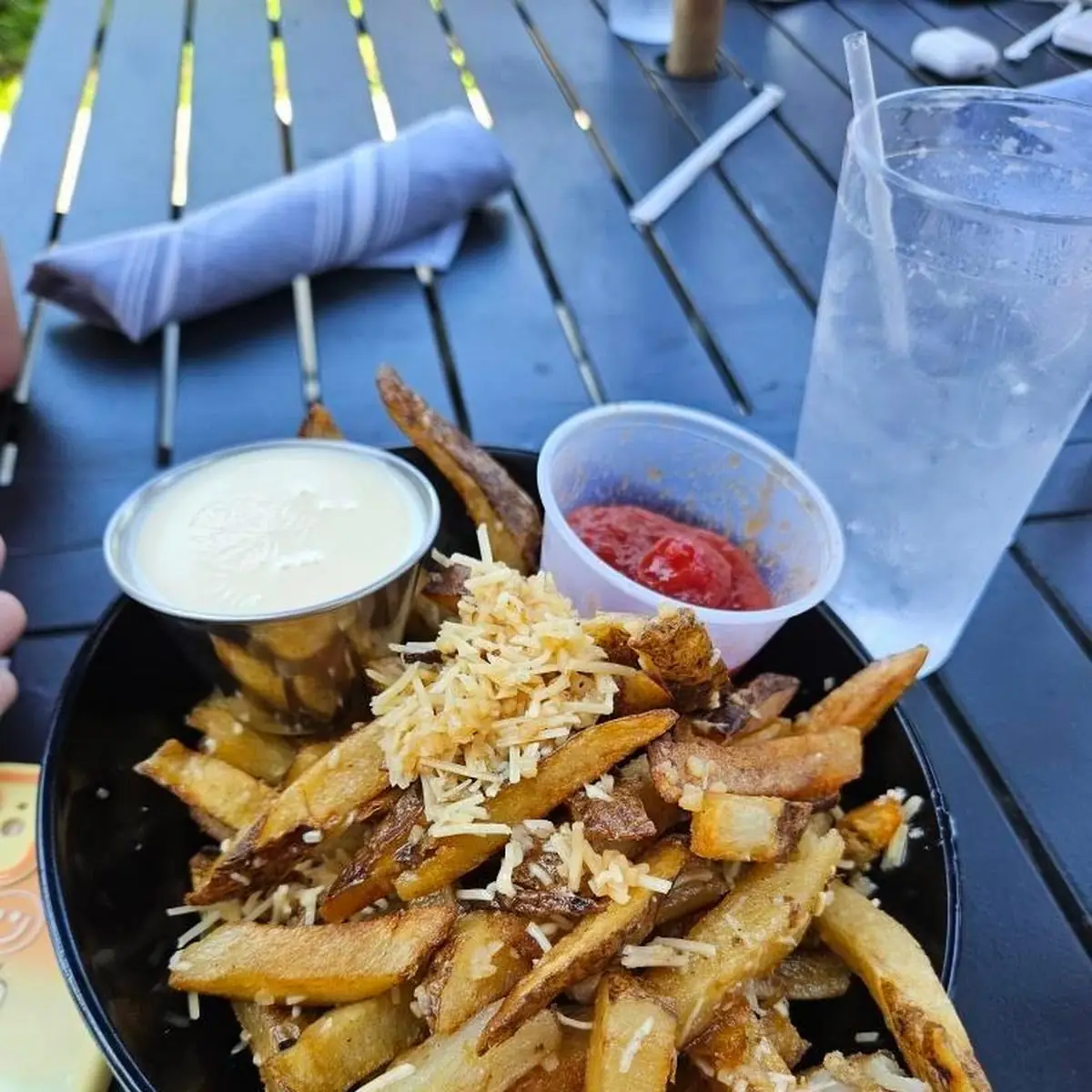 Grilled Cheese Fries