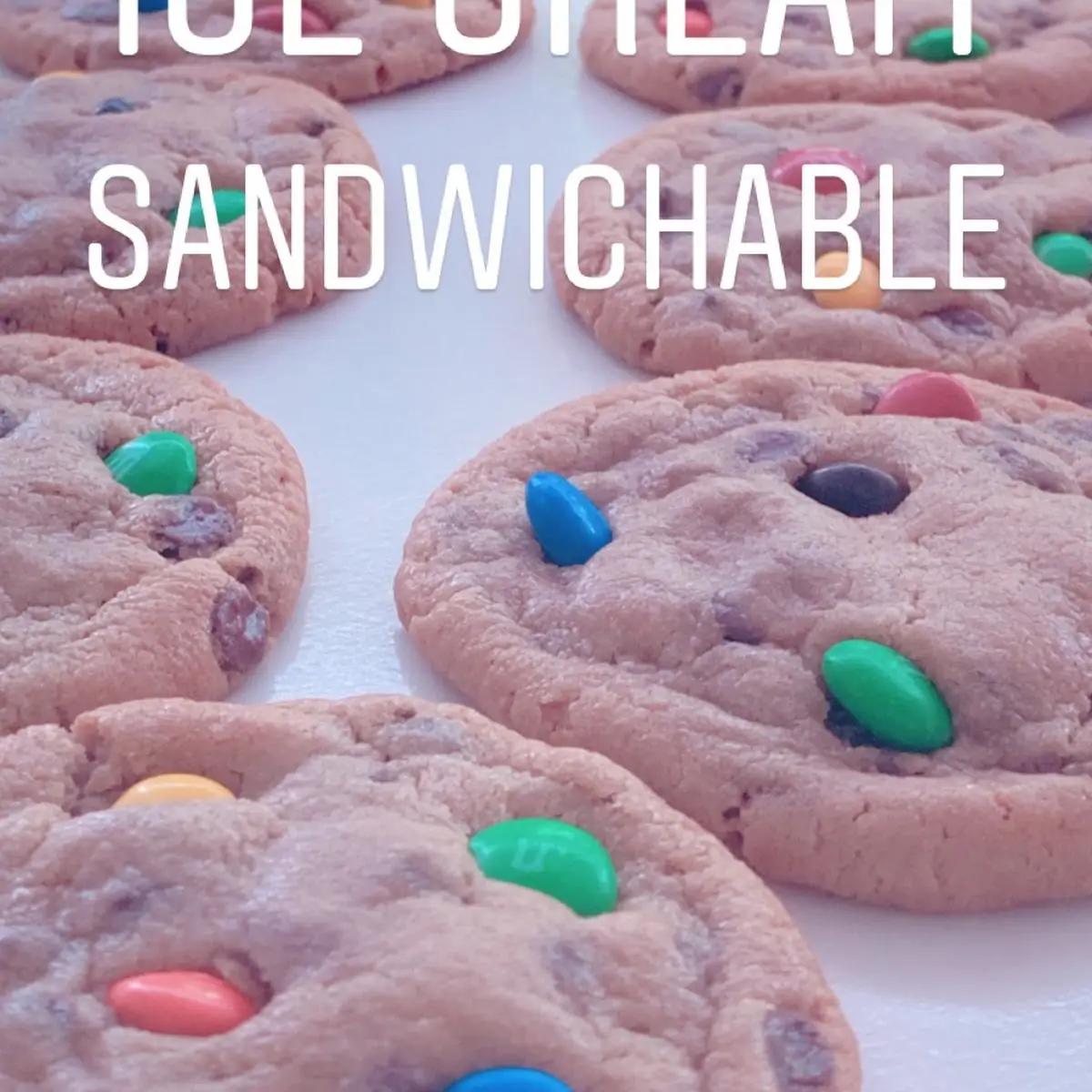 Ice Cream Sandwich