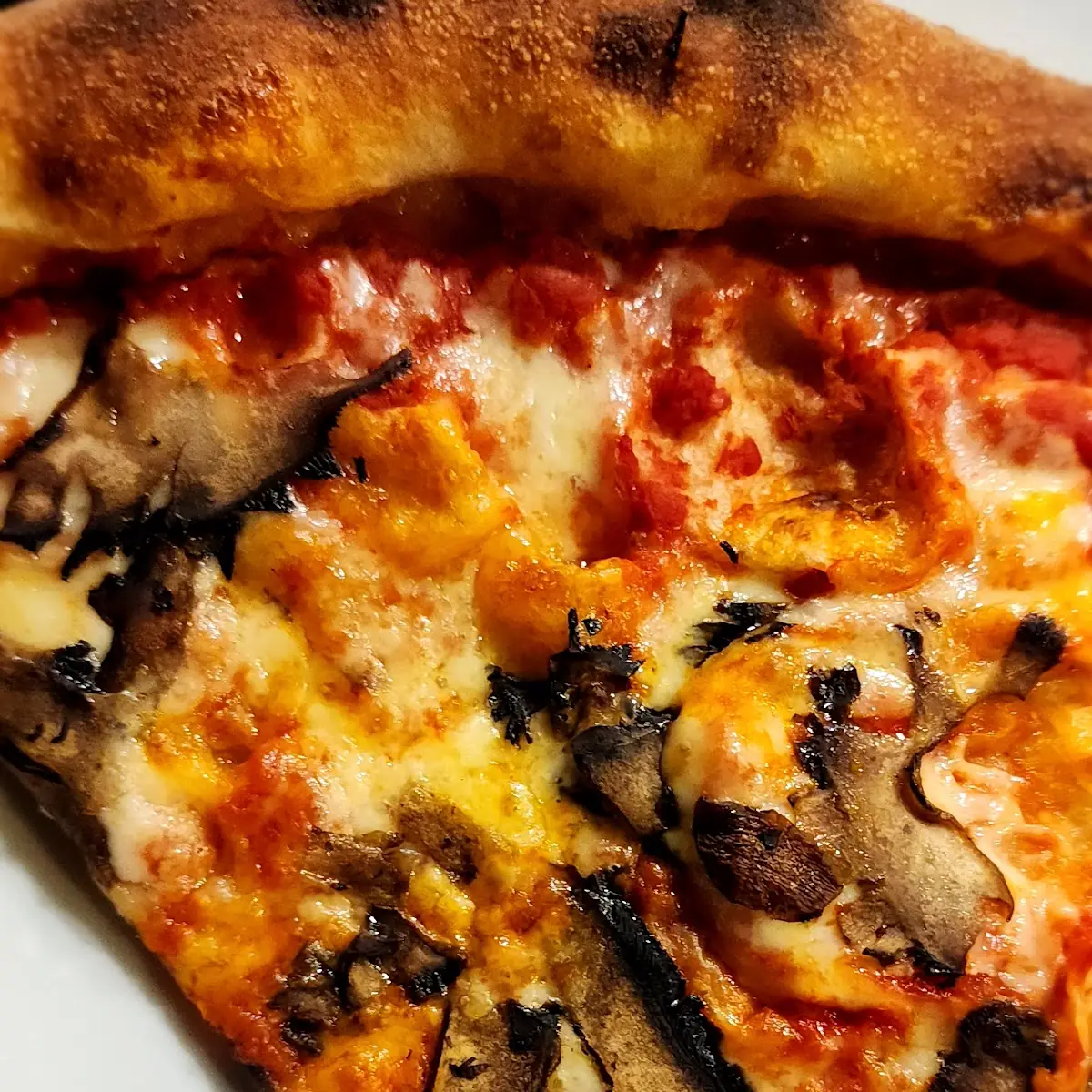Mushroom Pizza