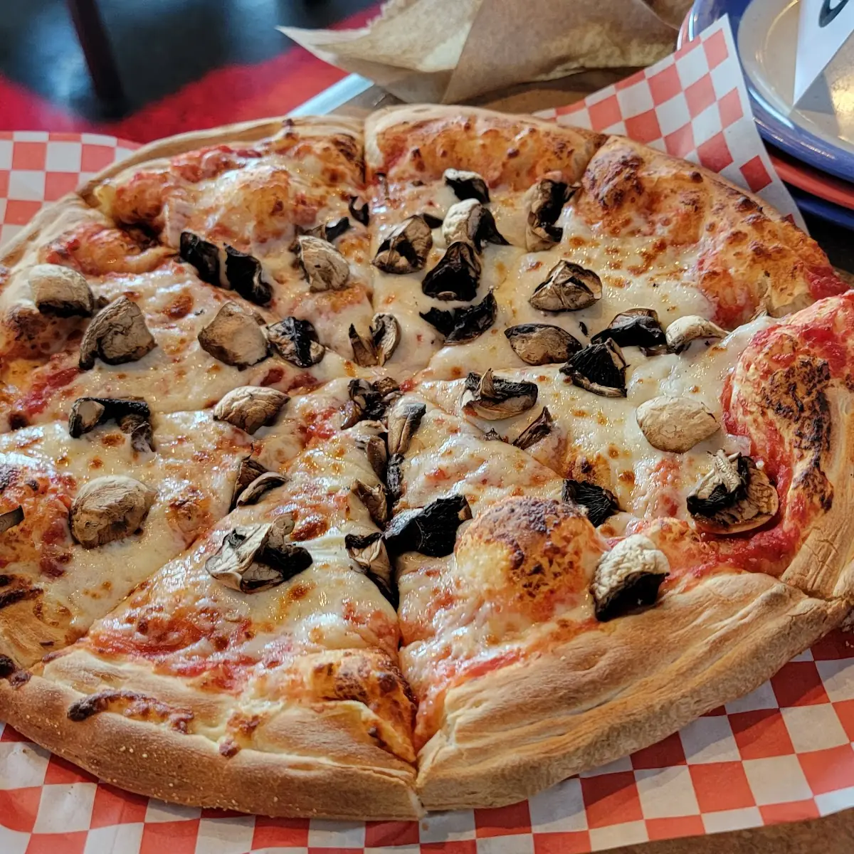 Mushroom Pizza