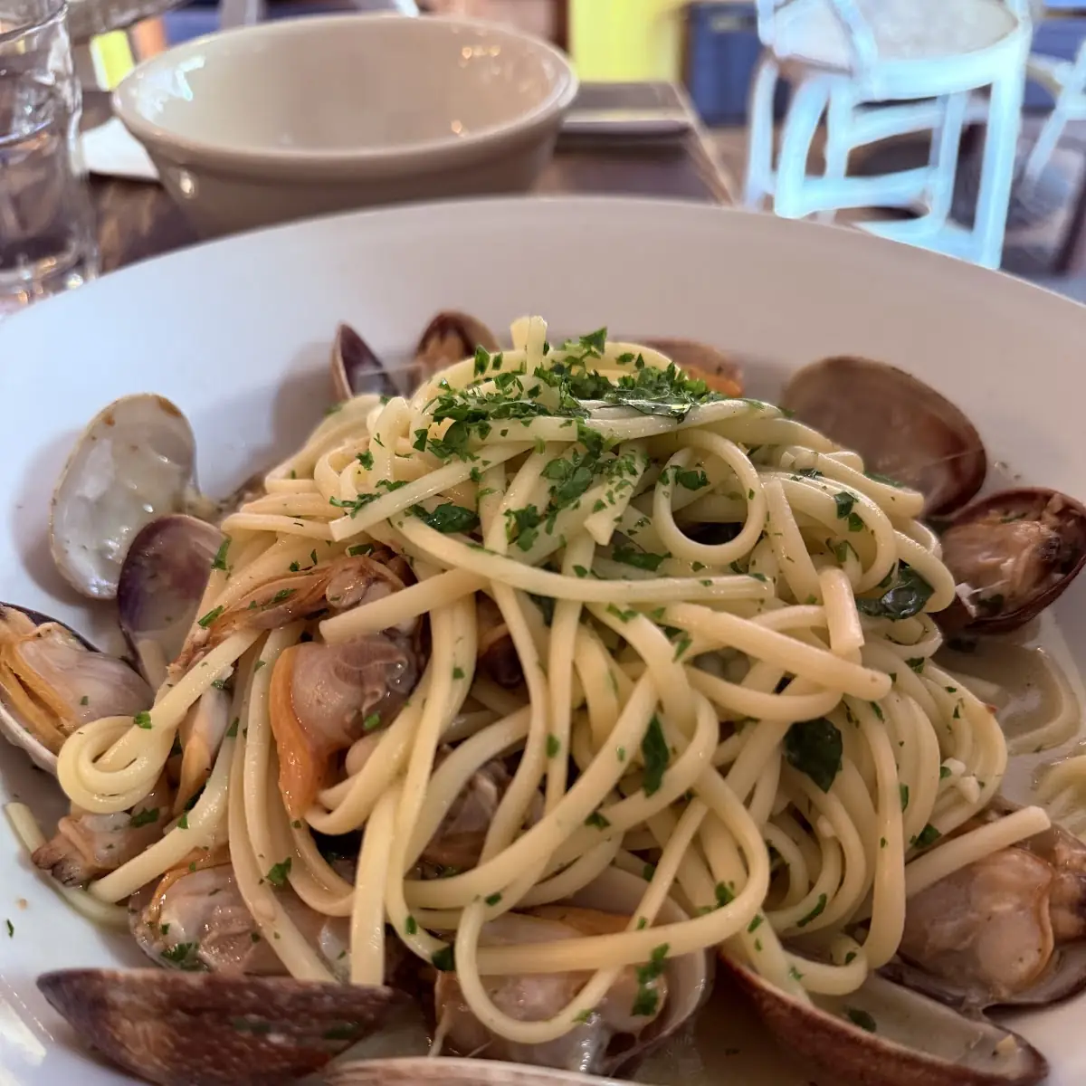 Linguini White Clam Sauce
