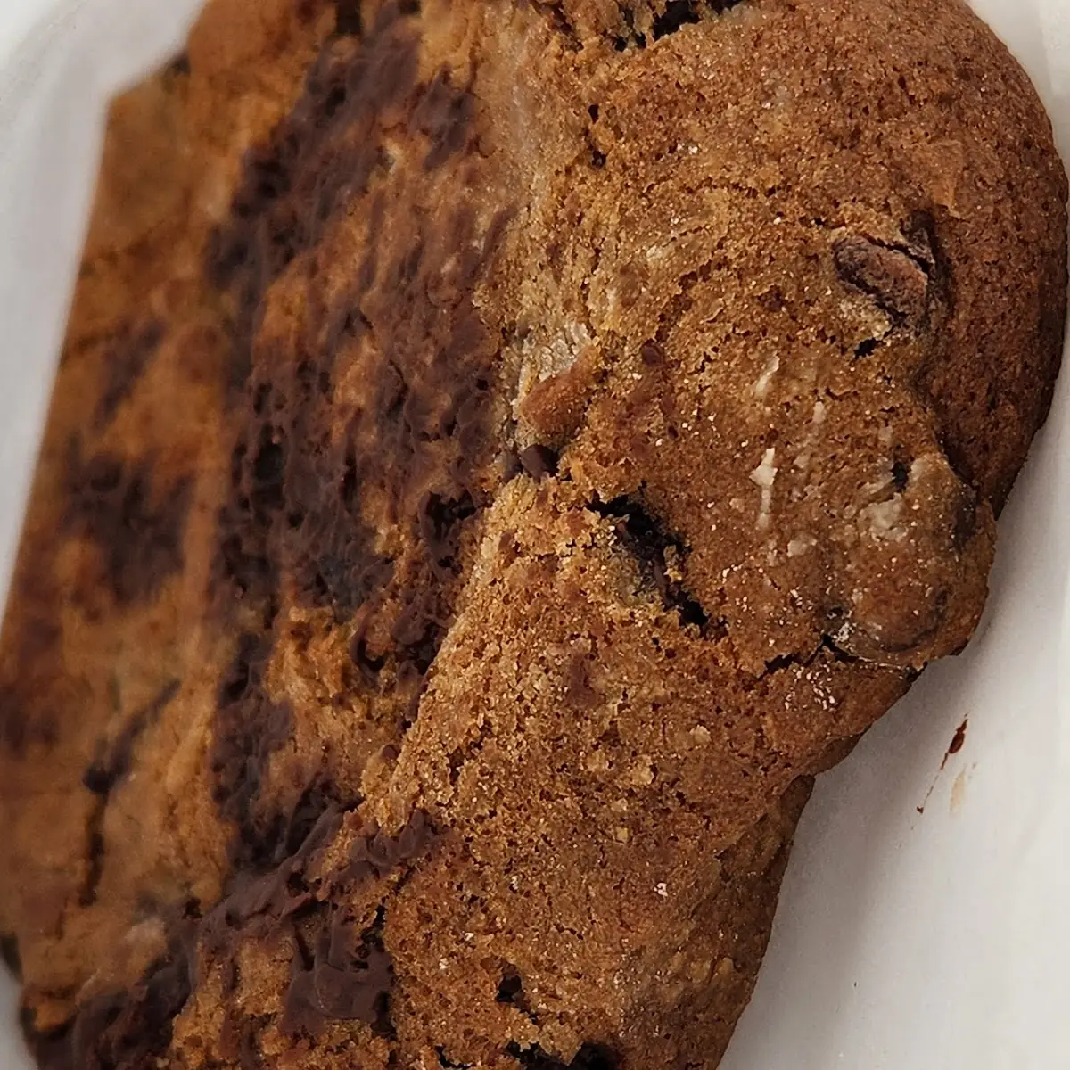 Chocolate Chip Cookie