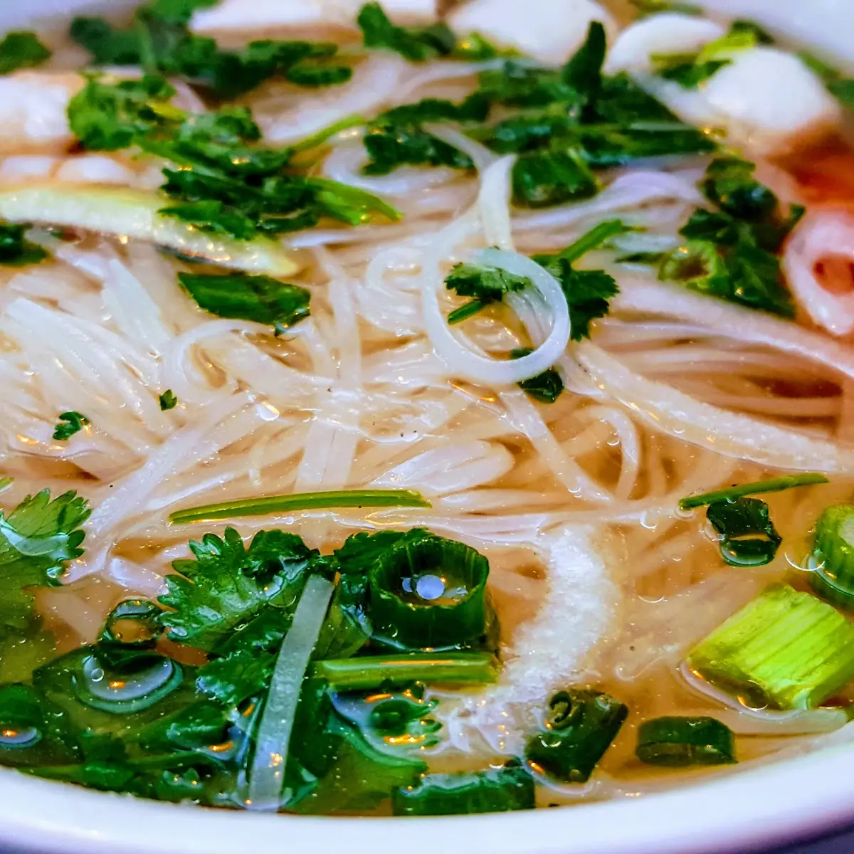 Special Beef Pho