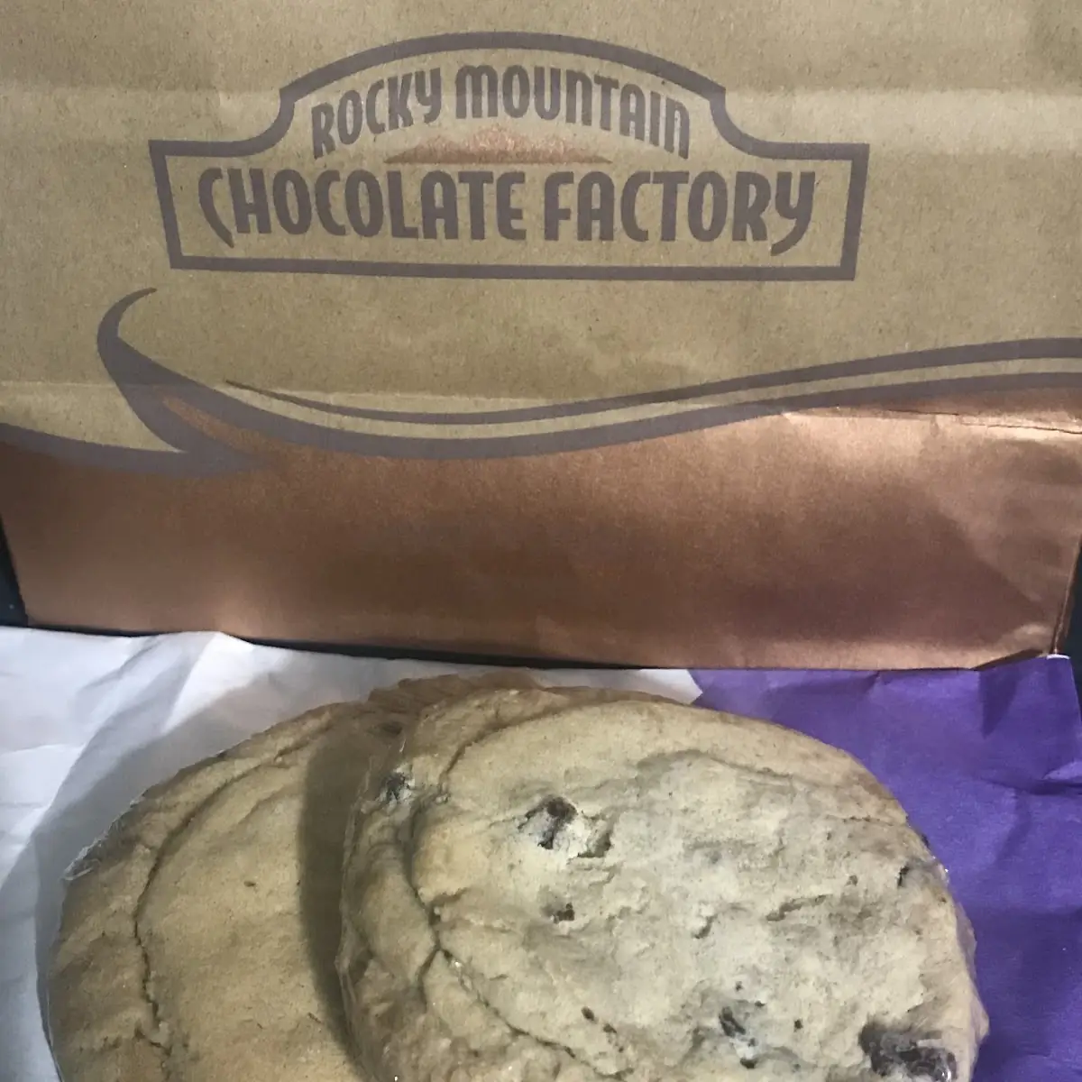 Chocolate Chip Cookie