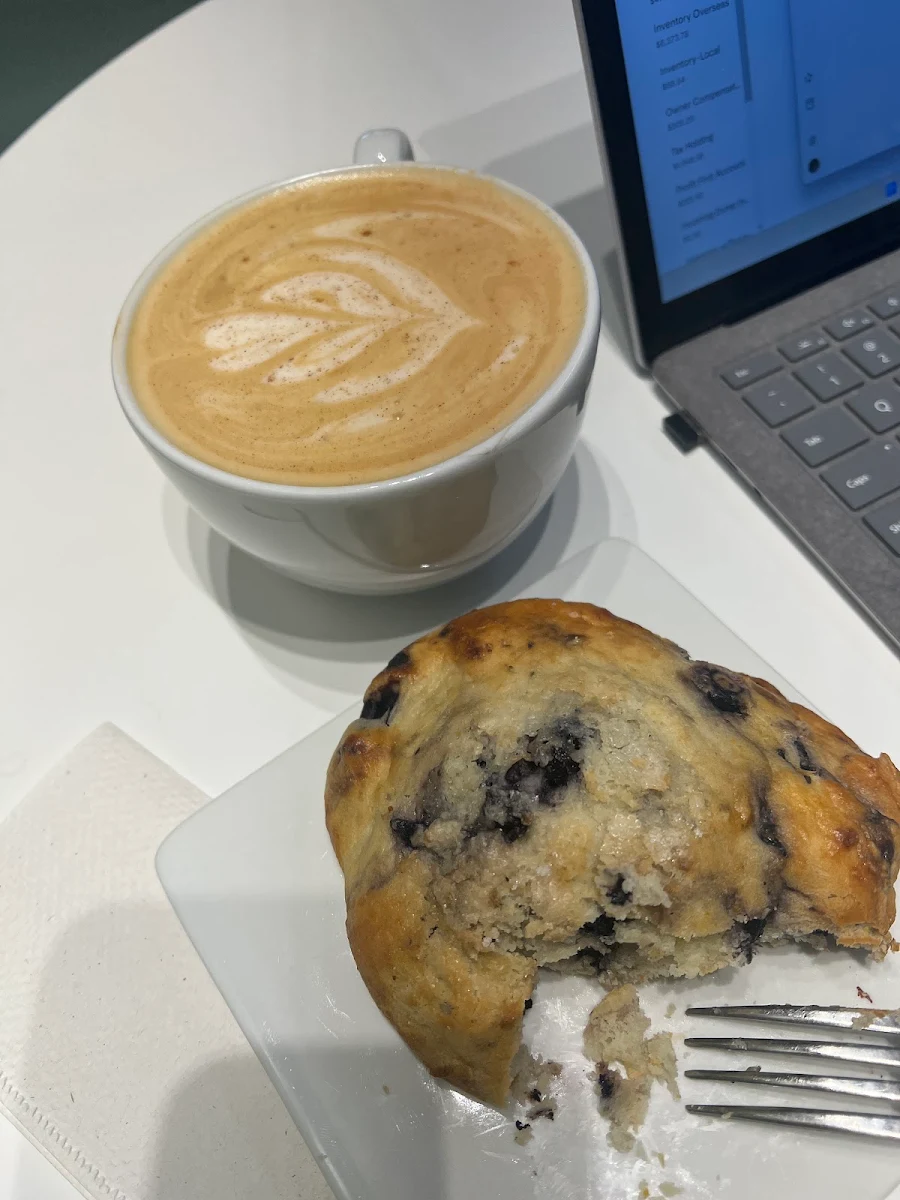 Blueberry Muffin