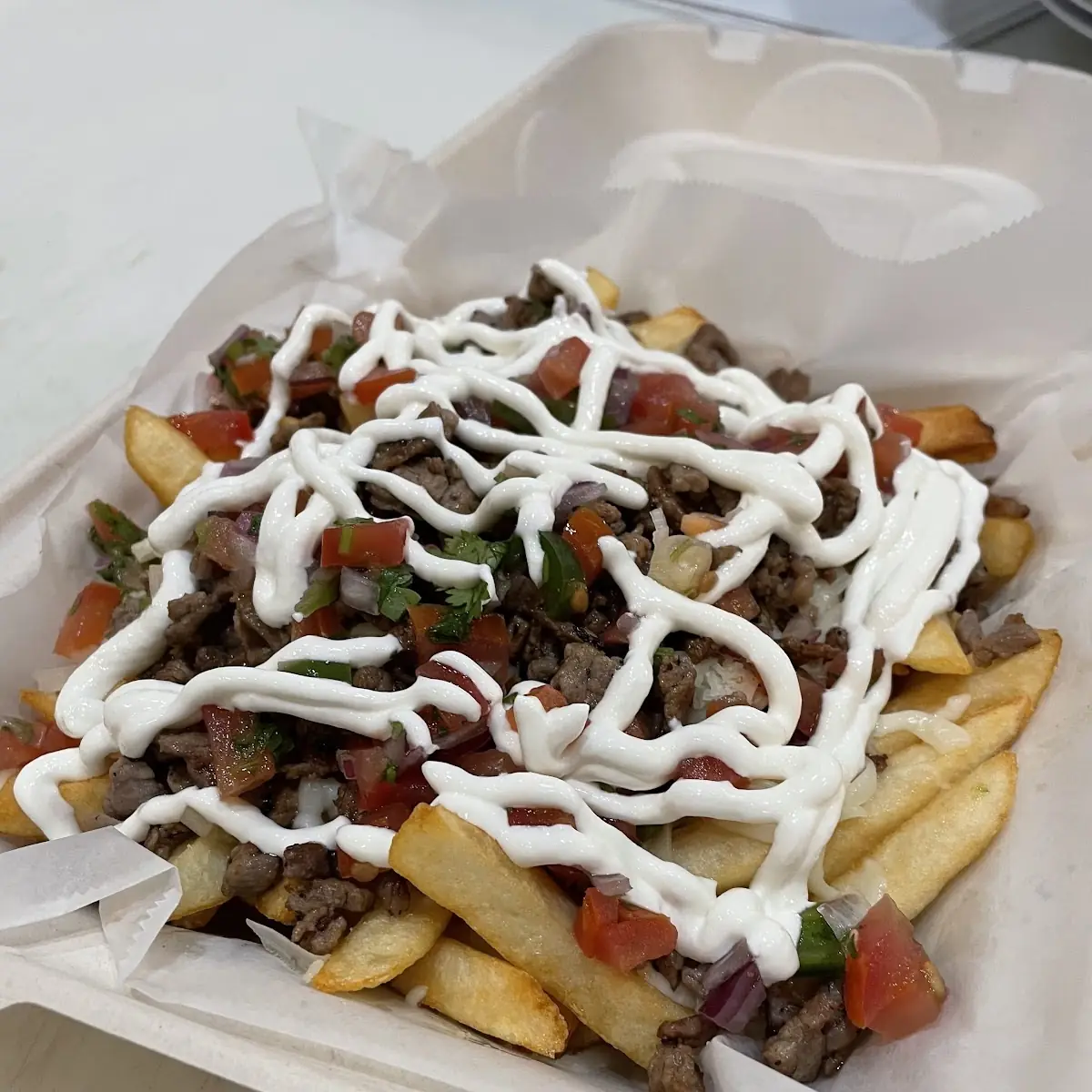 Carne Asada Fries