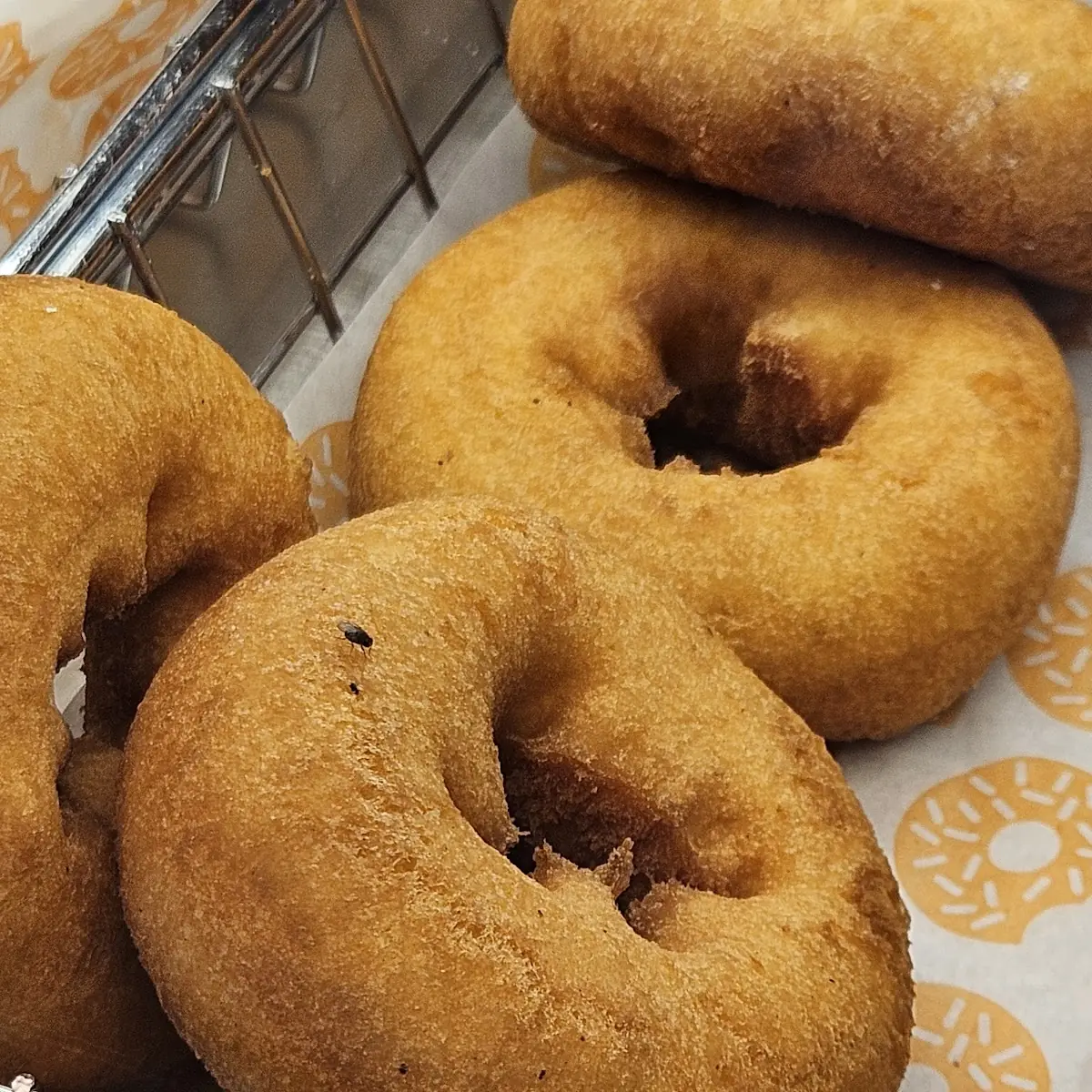 Doughnut