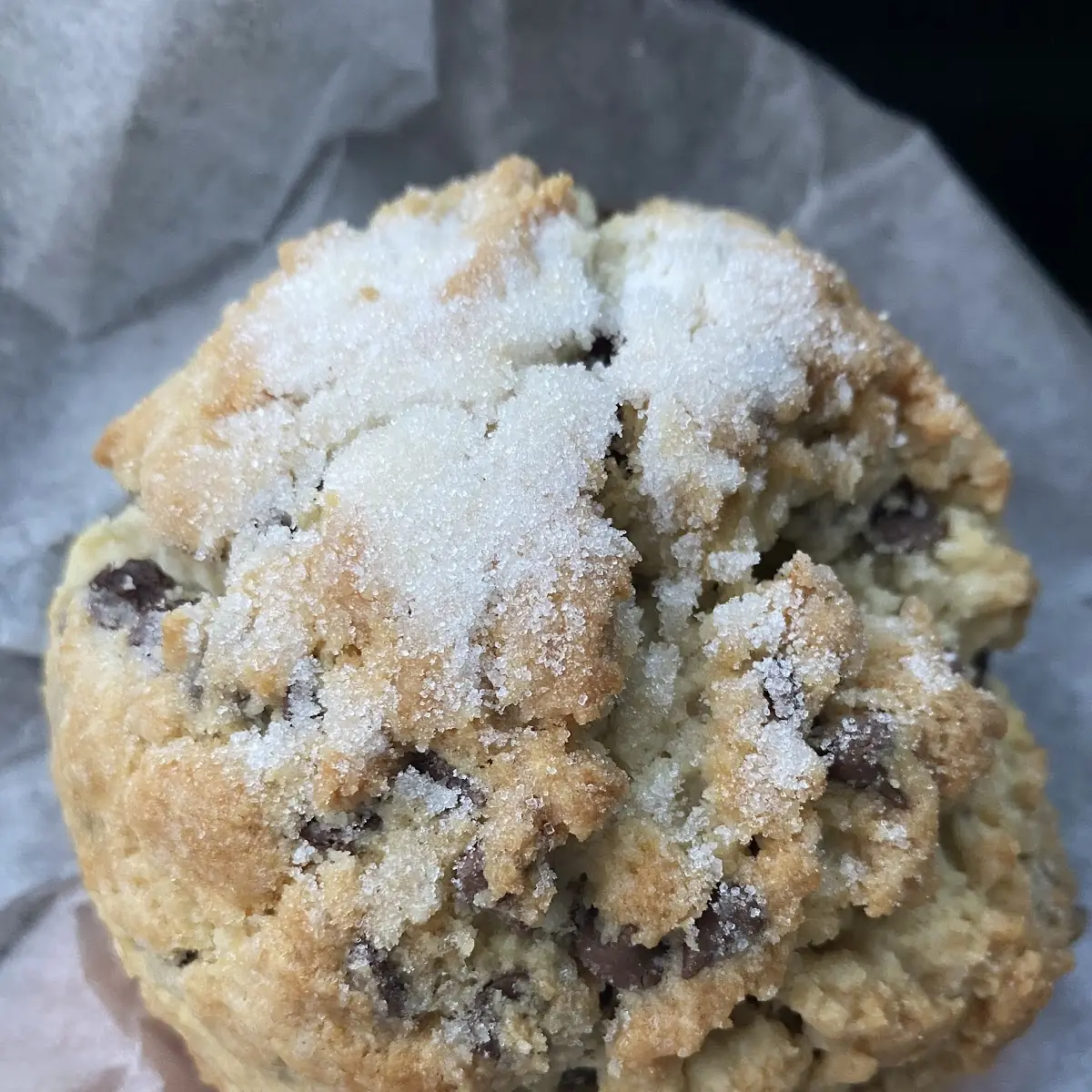 Chocolate Chip Scone