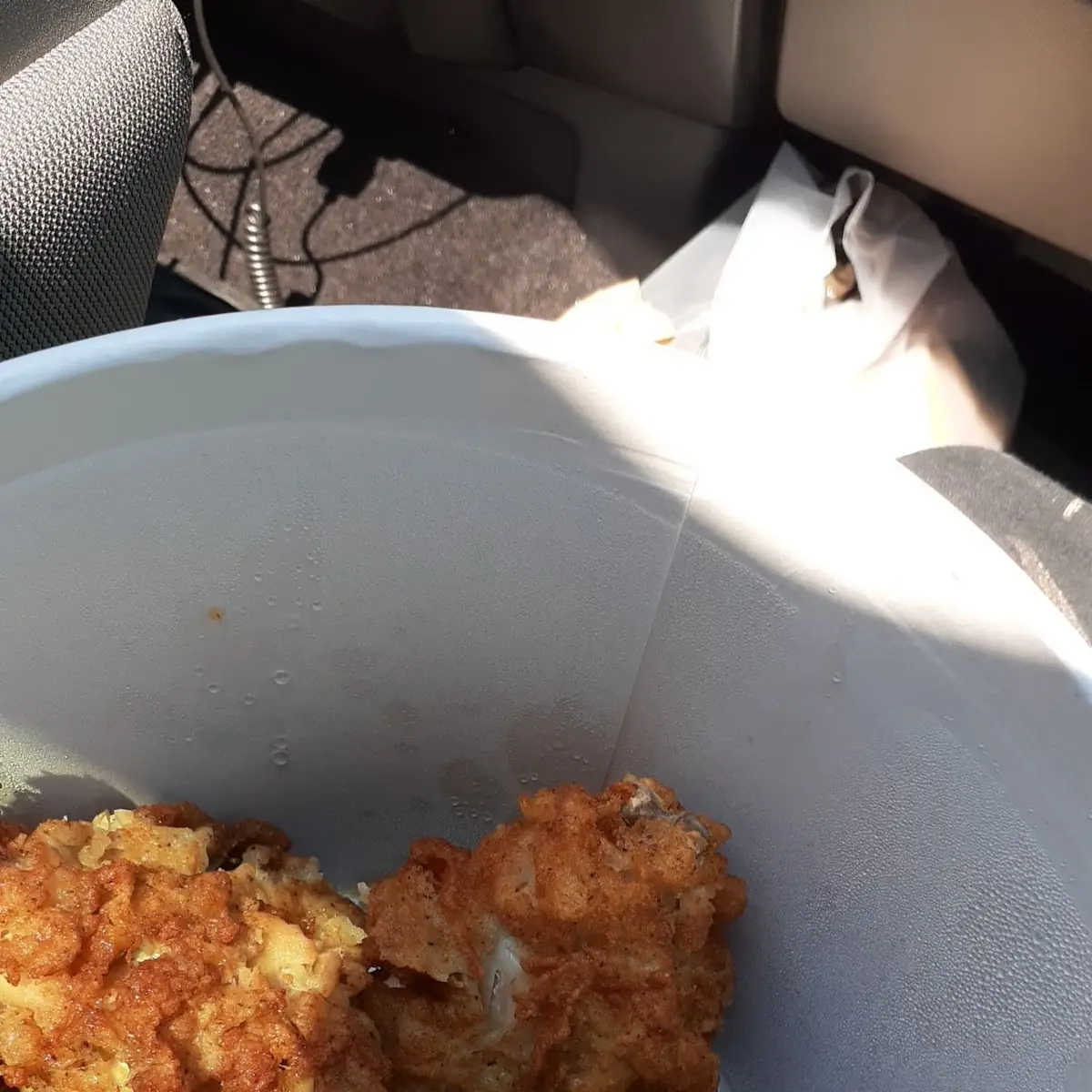 Fried Chicken