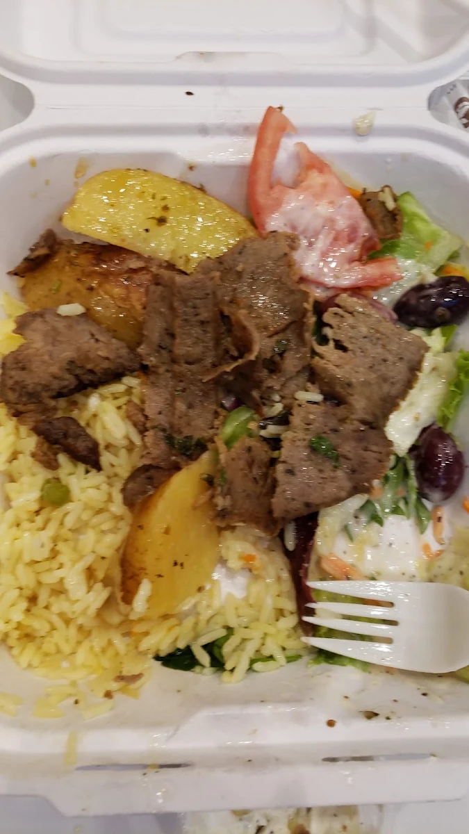 Gyro Plate