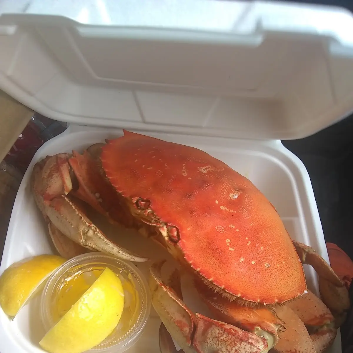 Dungeness Crab