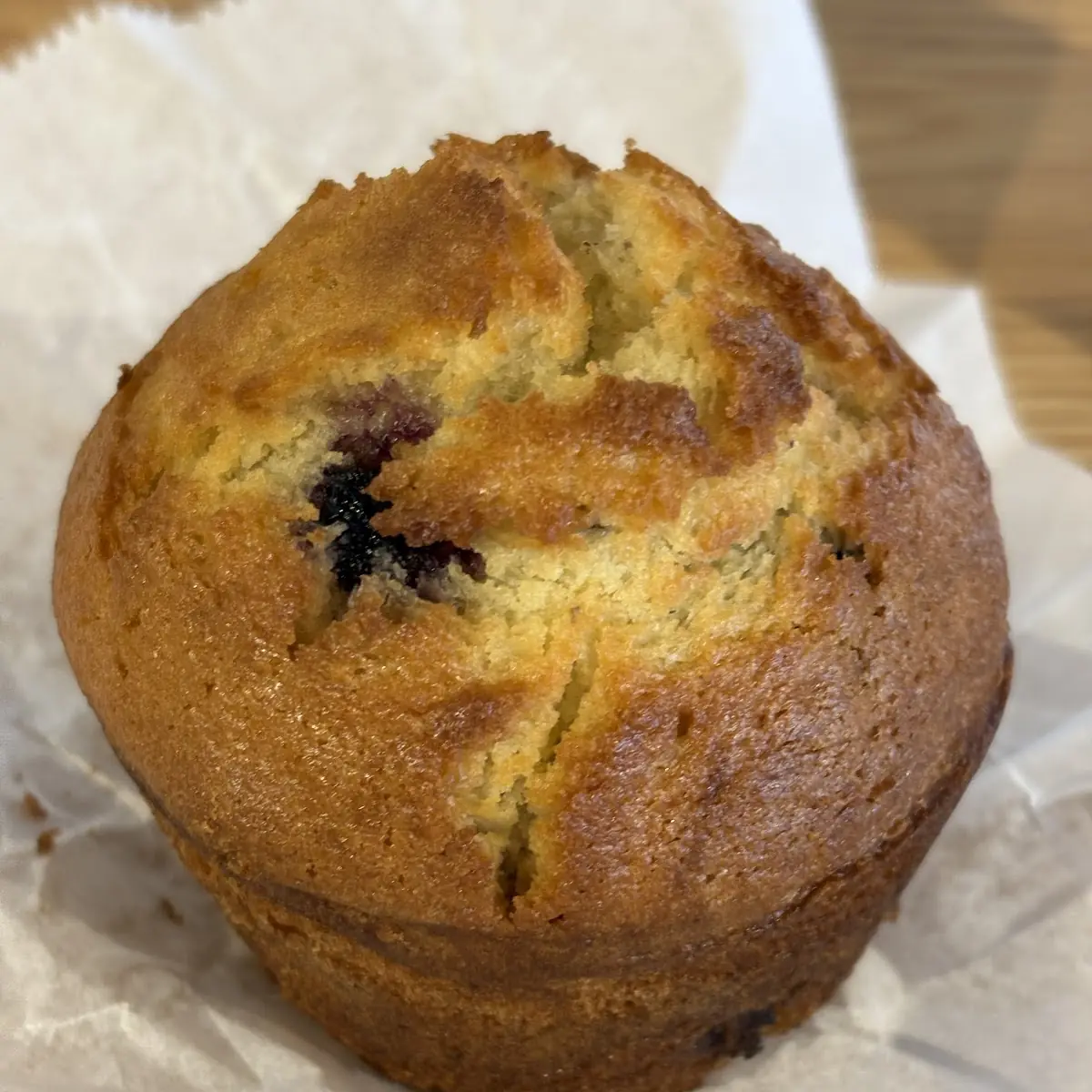 Blueberry Muffin